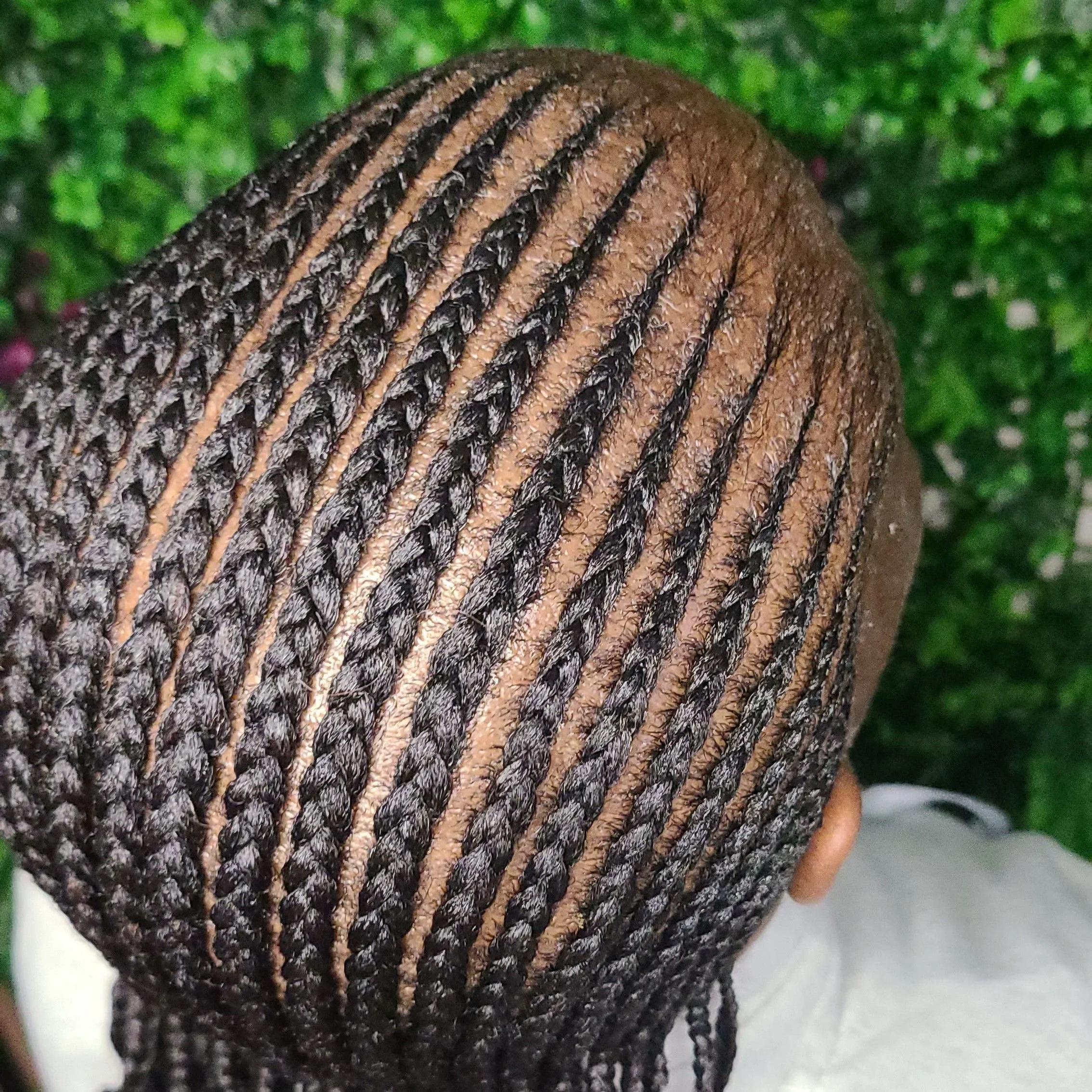 Close-up of a person's head with styled braids and shaved design on the scalp, against a blurred green leafy background.