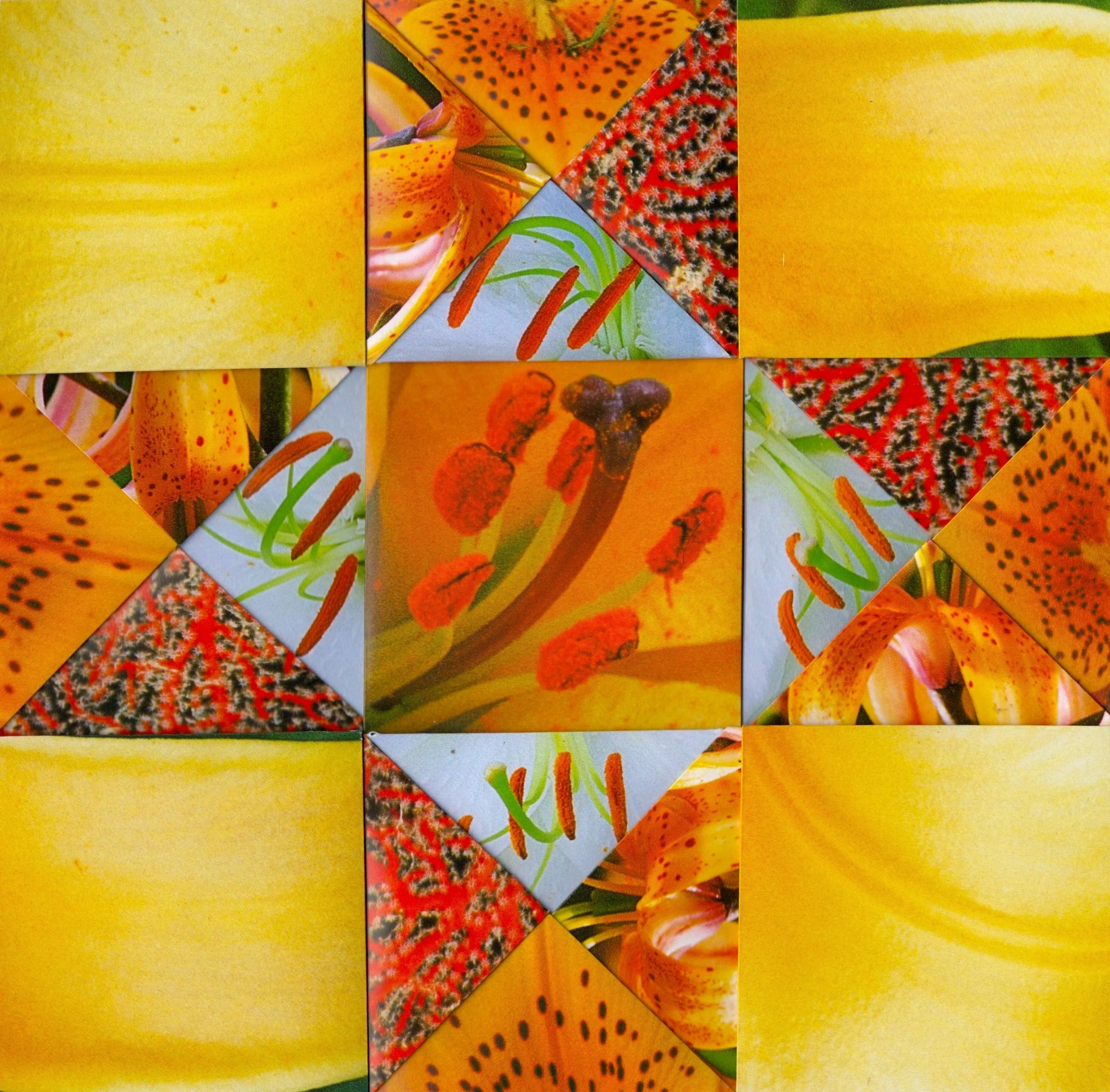 First Flower Edit.jpeg