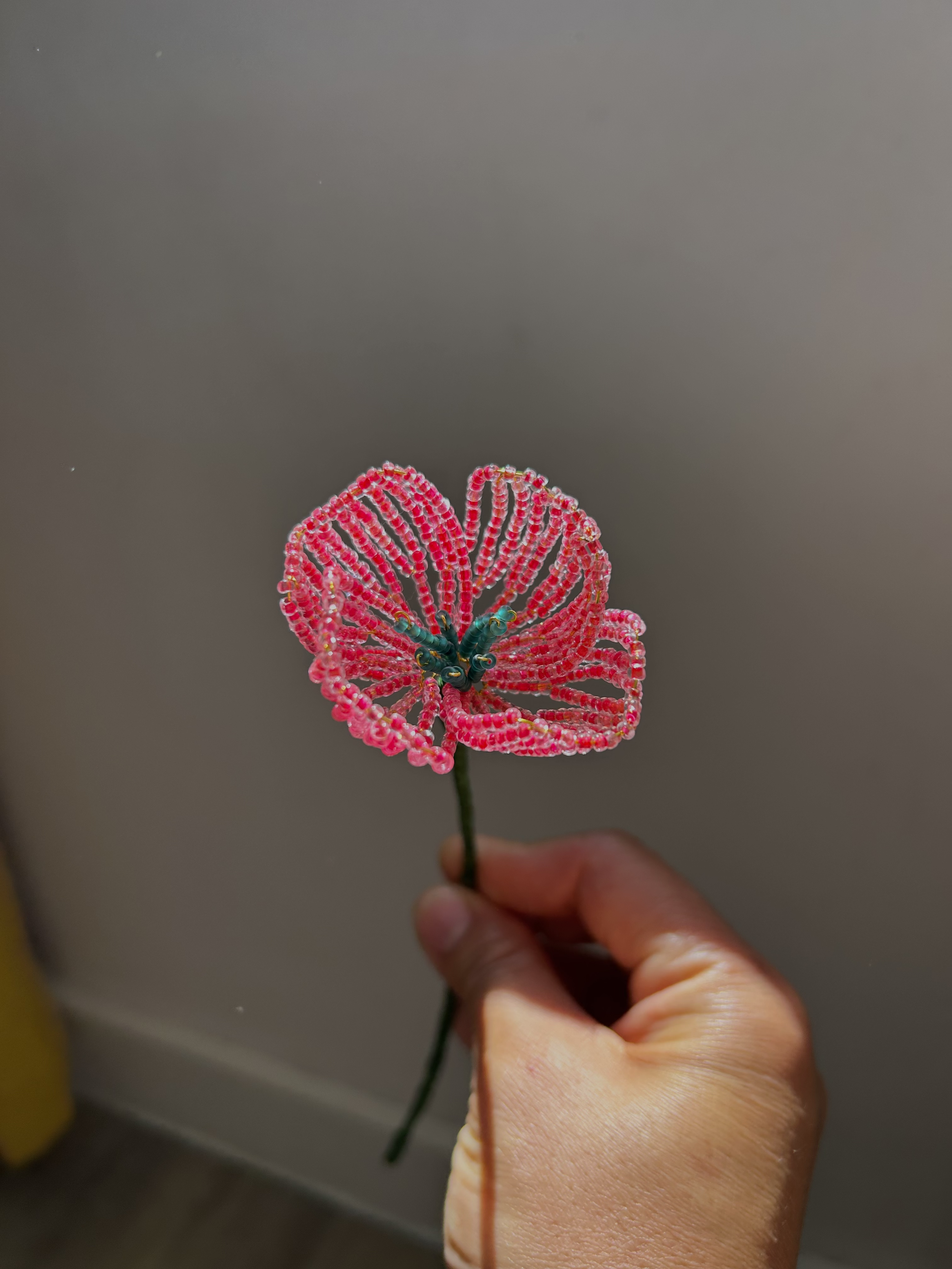 IMG_2250 (1).png