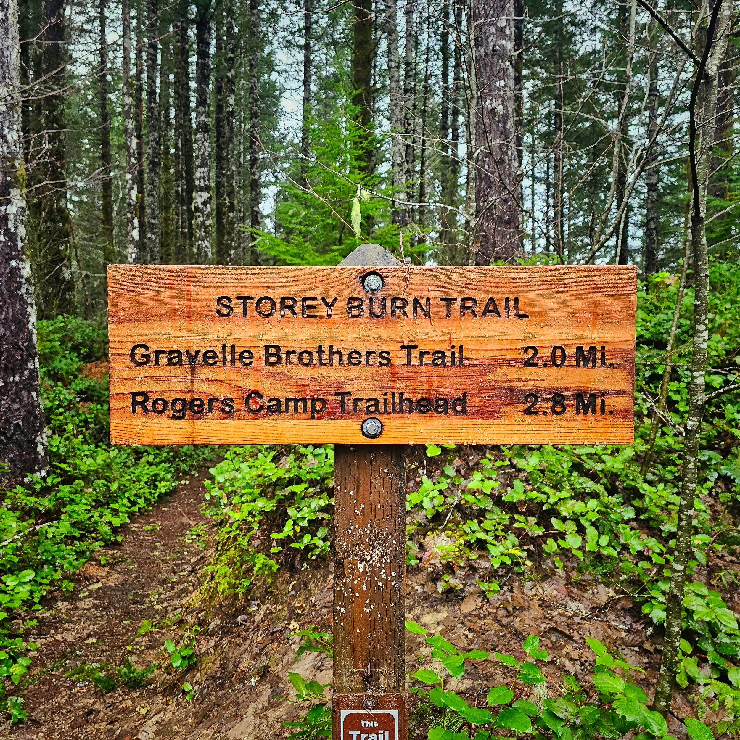 Storey Burn Trail 1.jpg