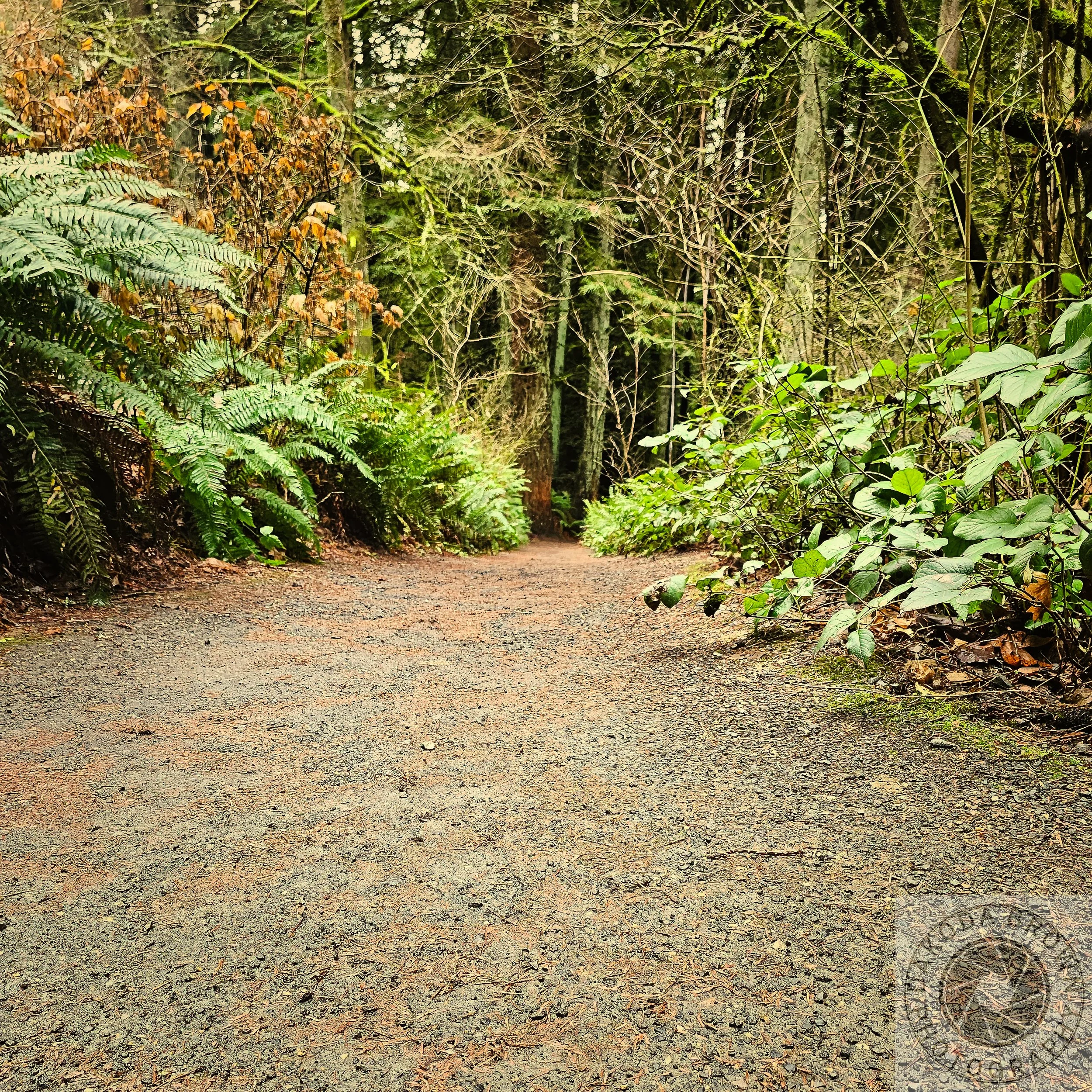 Wildwood Trail 3.jpg