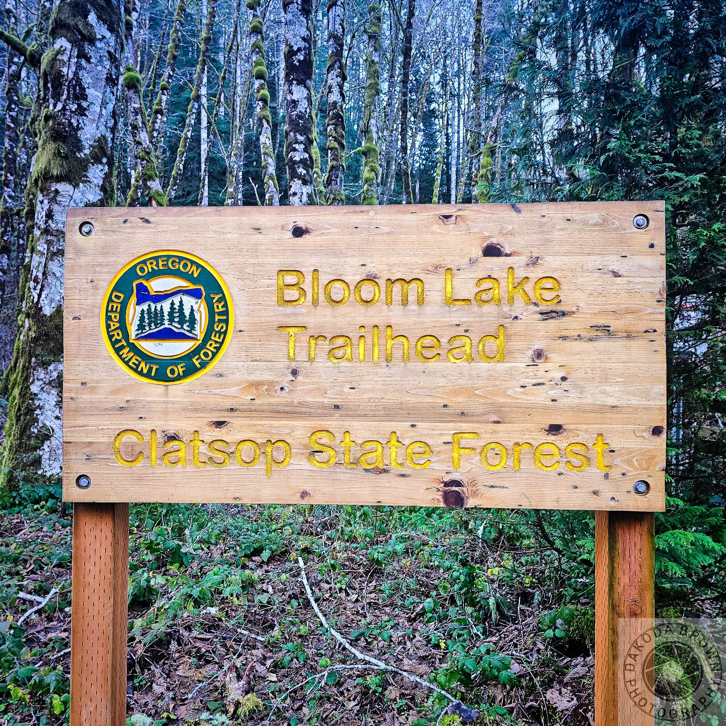 Bloom Lake Hike 1.jpg