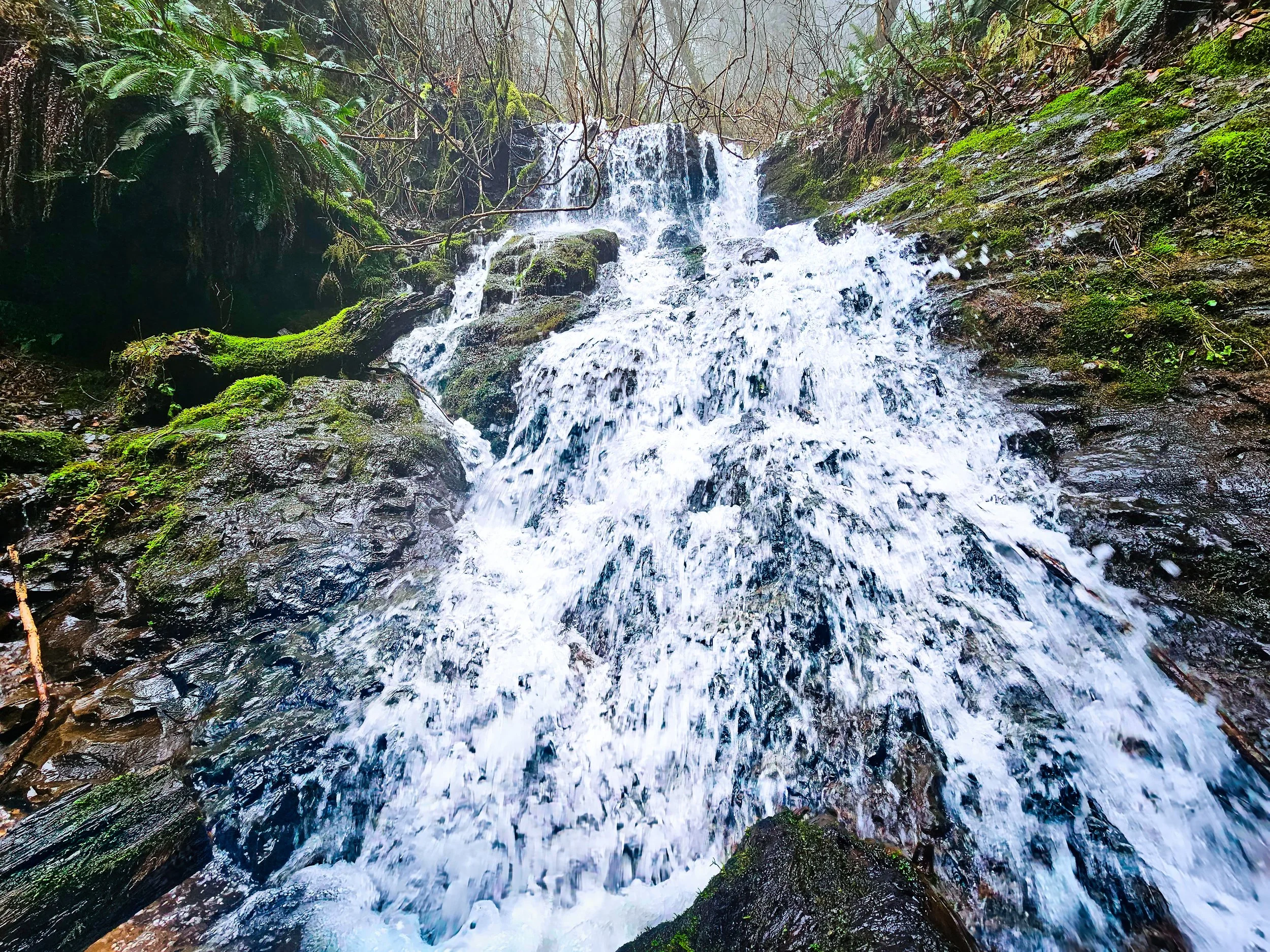 Storey Burn Loop Trail