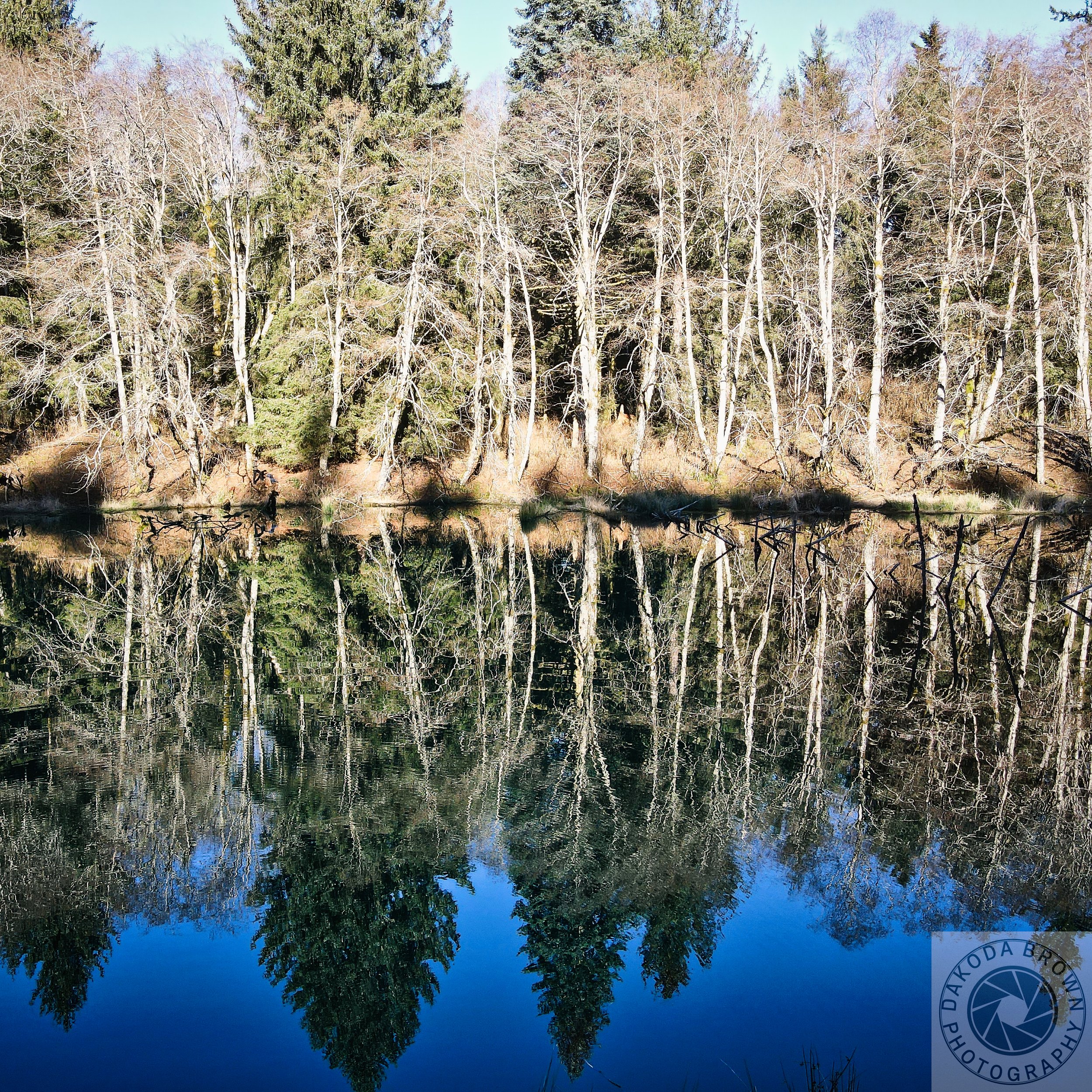 Bloom Lake Hike 11.jpg
