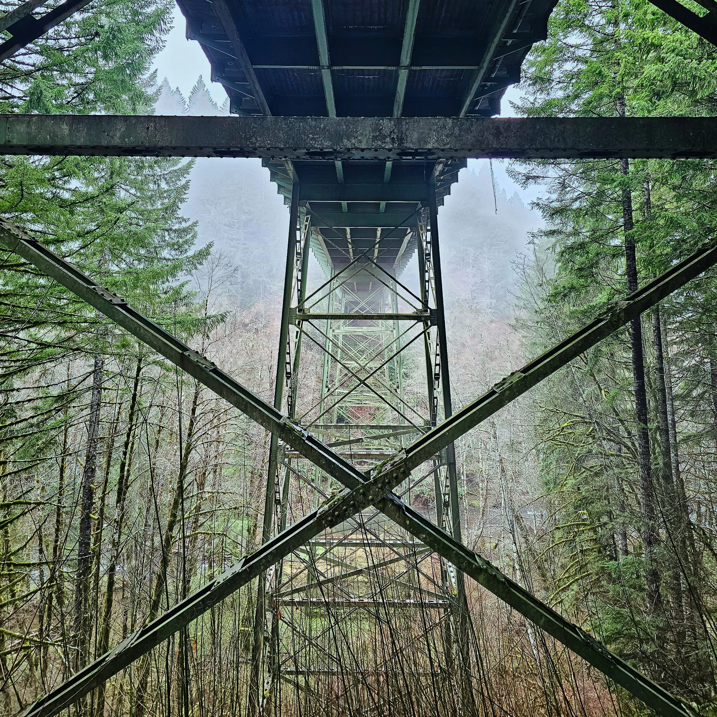 Storey Burn Trail 6.jpg