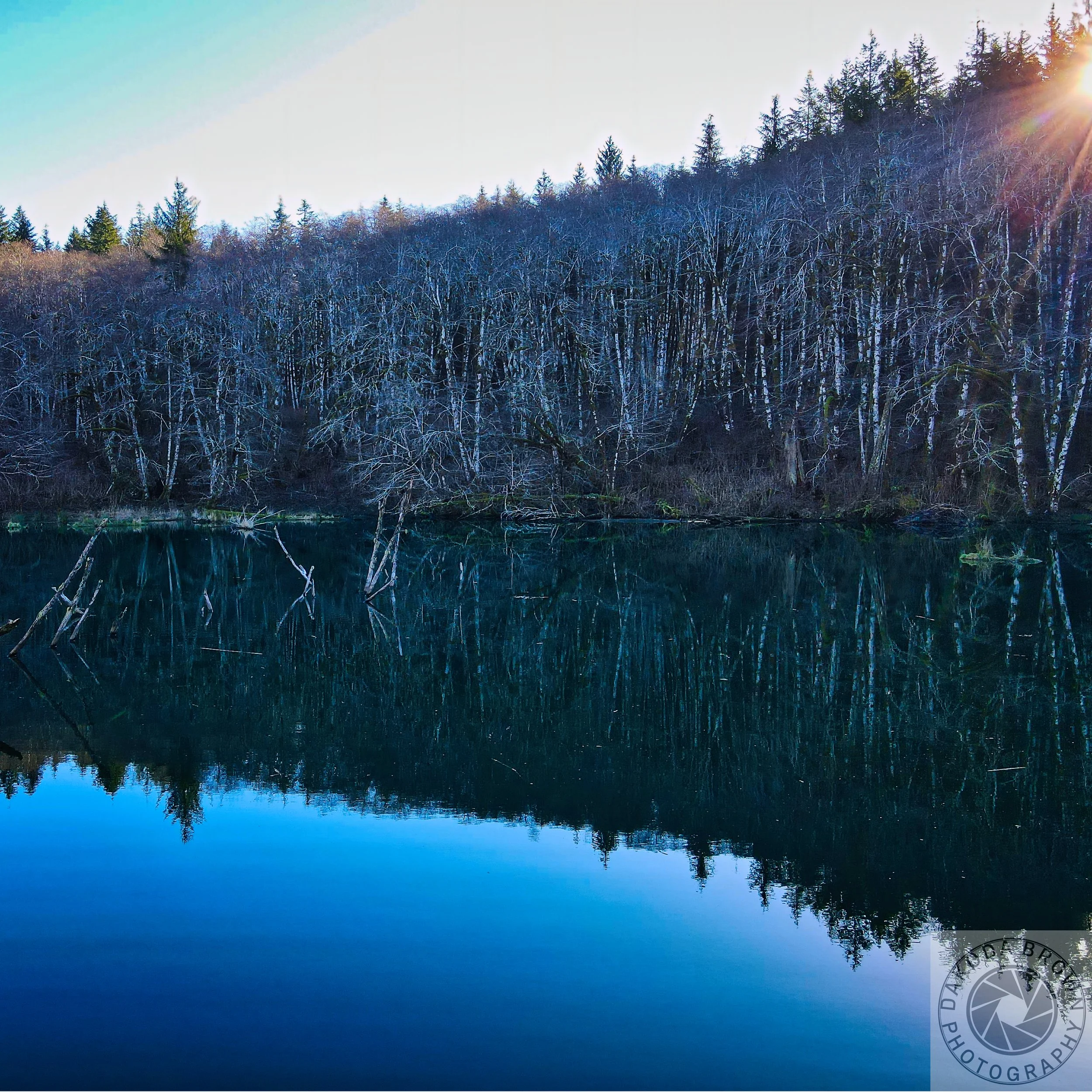 Bloom Lake Hike 9.jpg