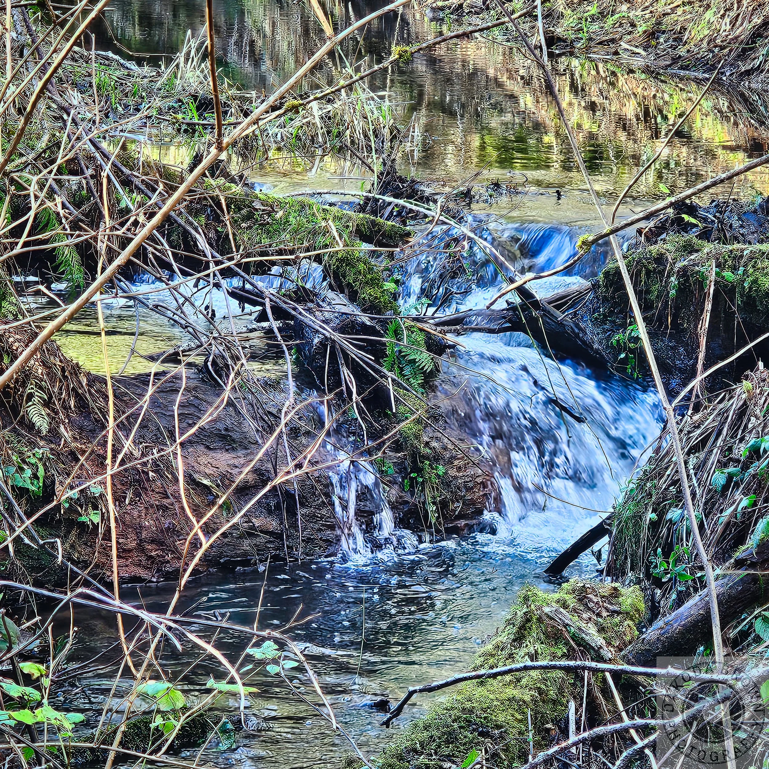 Bloom Lake Hike 5.jpg