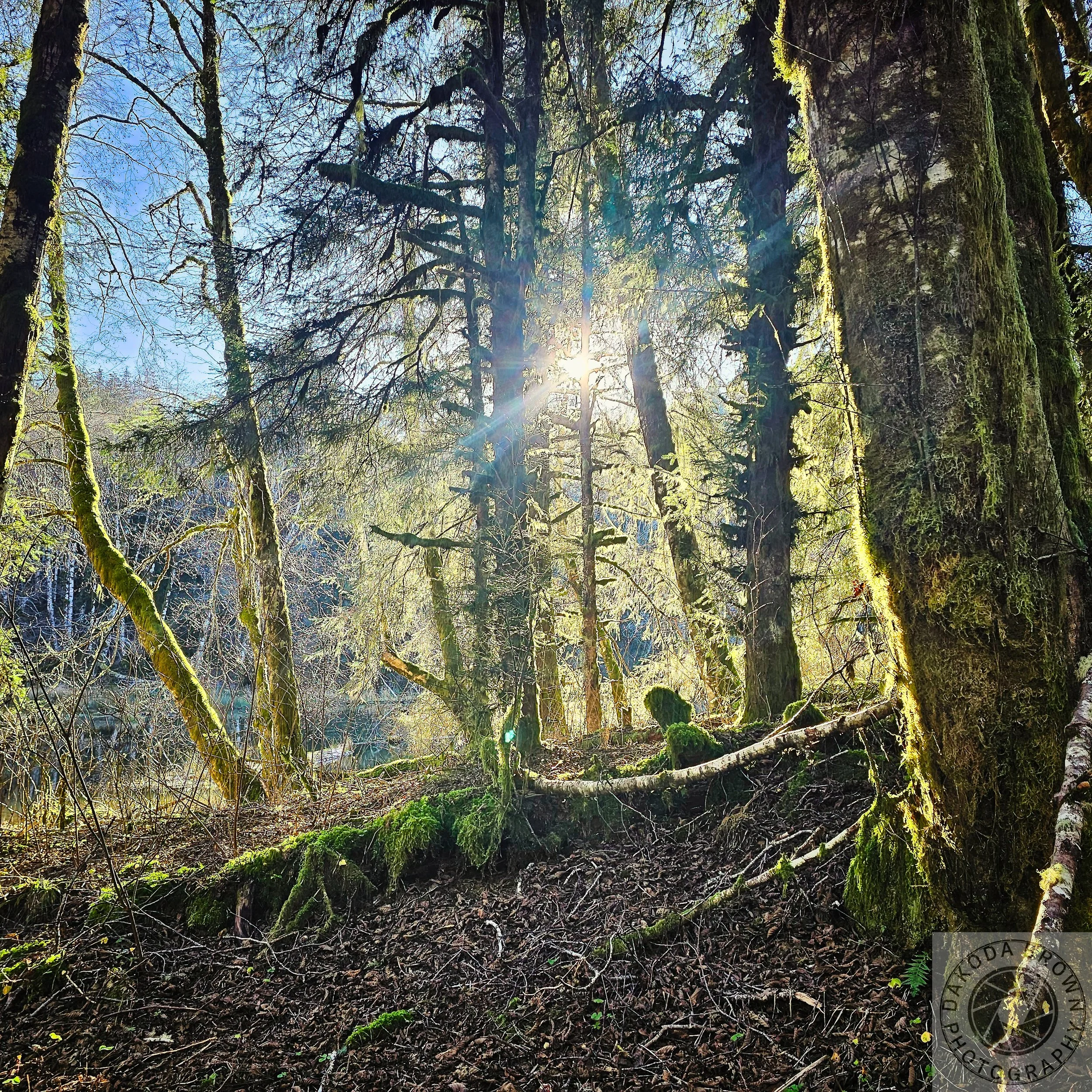 Bloom Lake Hike 6.jpg