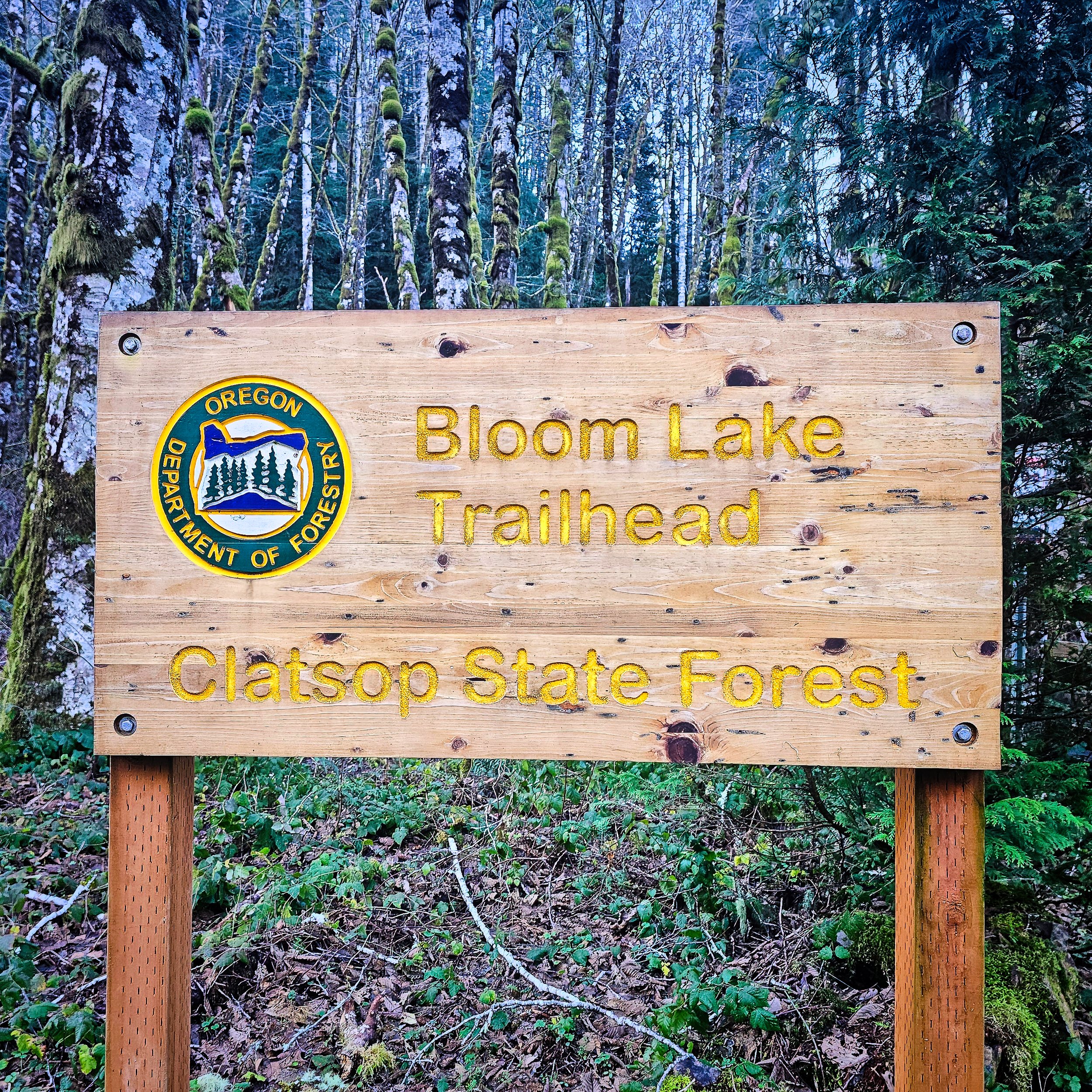 Bloom Lake Hike