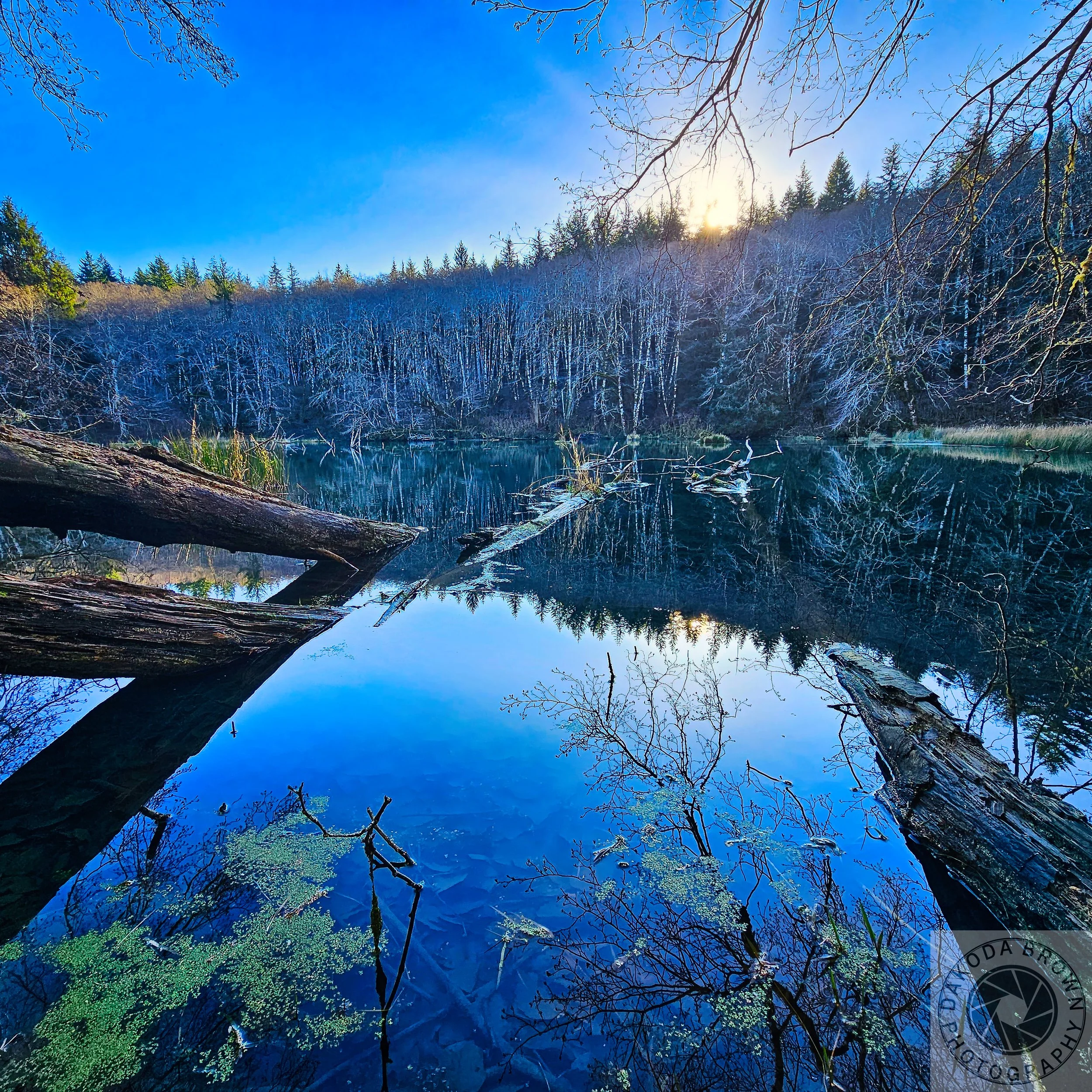 Bloom Lake Hike 8.jpg