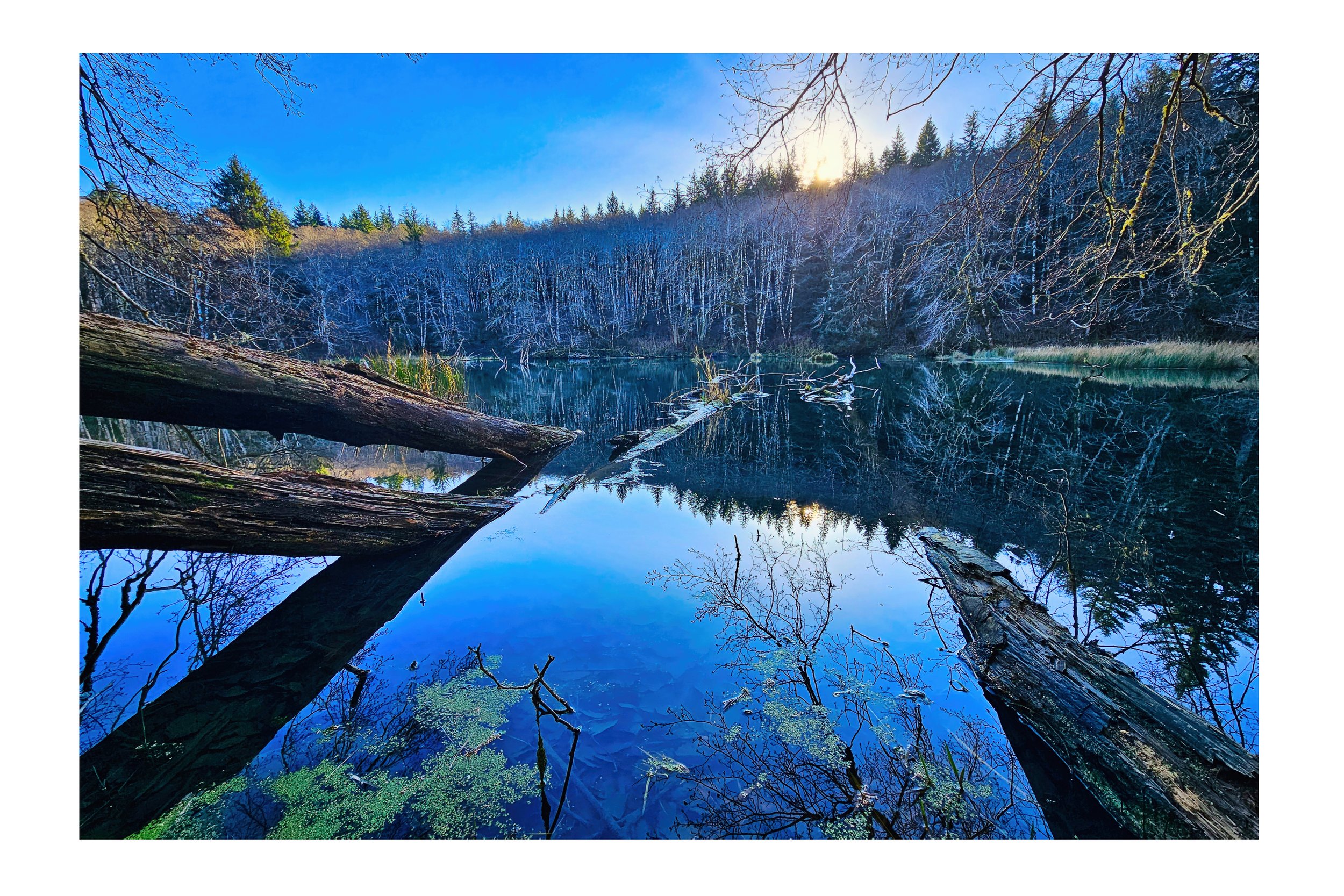 Bloom Lake Final.jpg