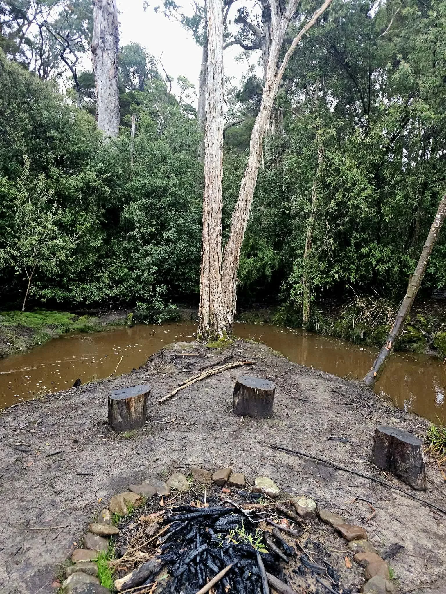 The Art of Being: Finding Congruence at Back Creek