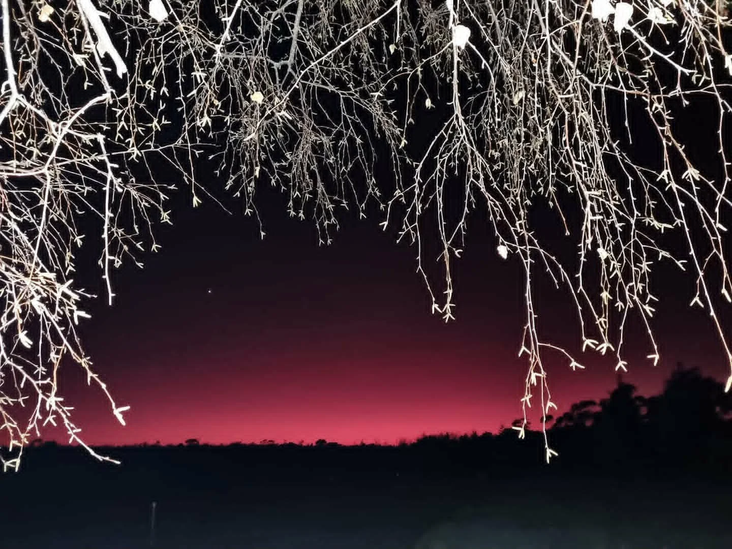 What the Dark Teaches Us: On Detail, Perspective, and Seeing Clearly