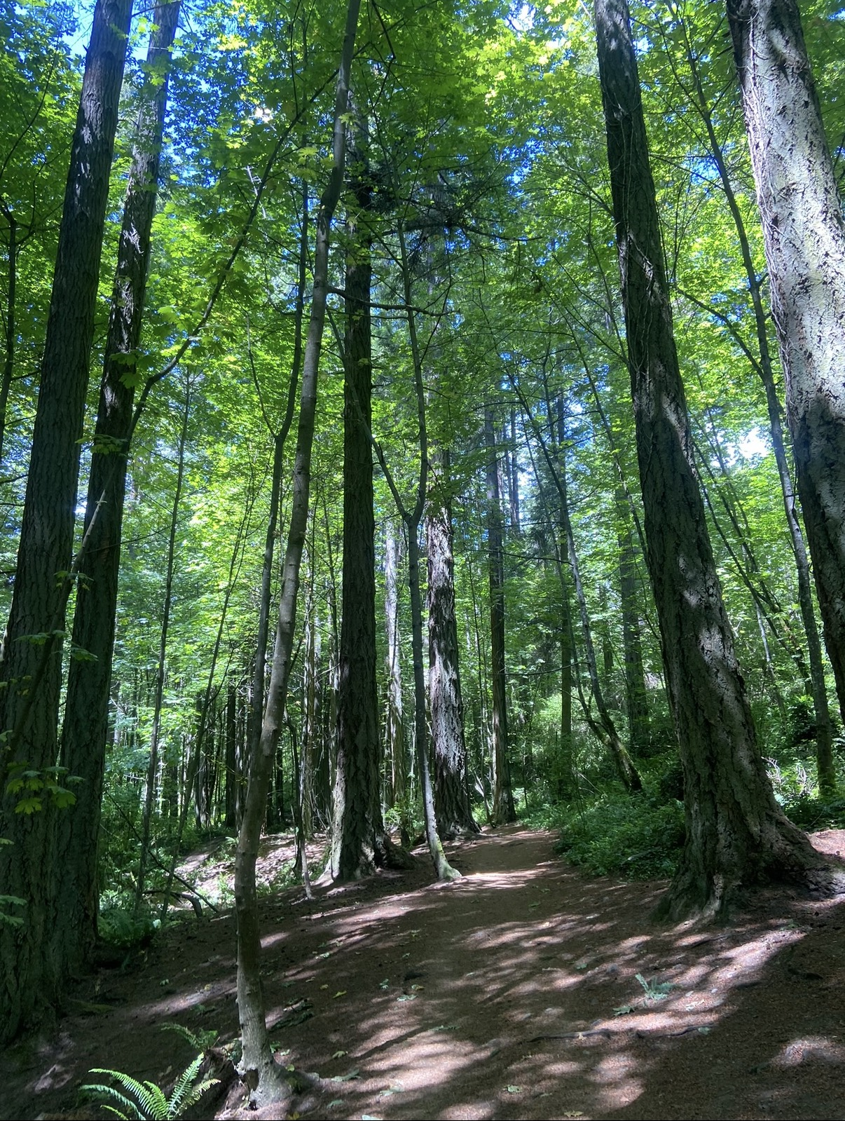 The Strategic Baseline Session