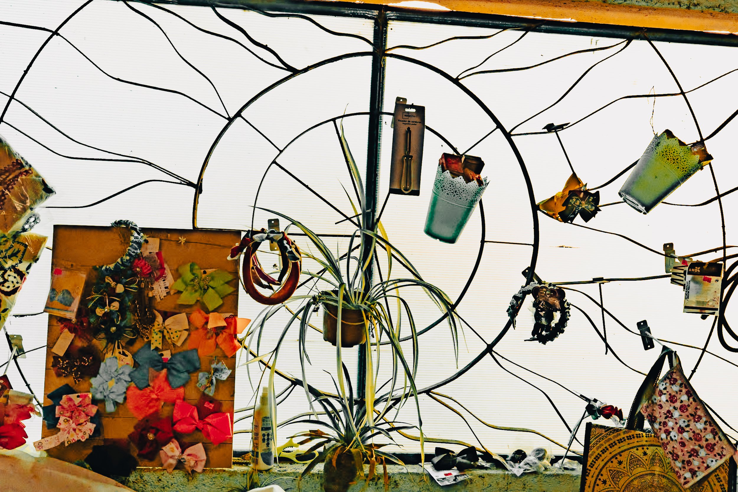 web_export _DSC1045.jpg