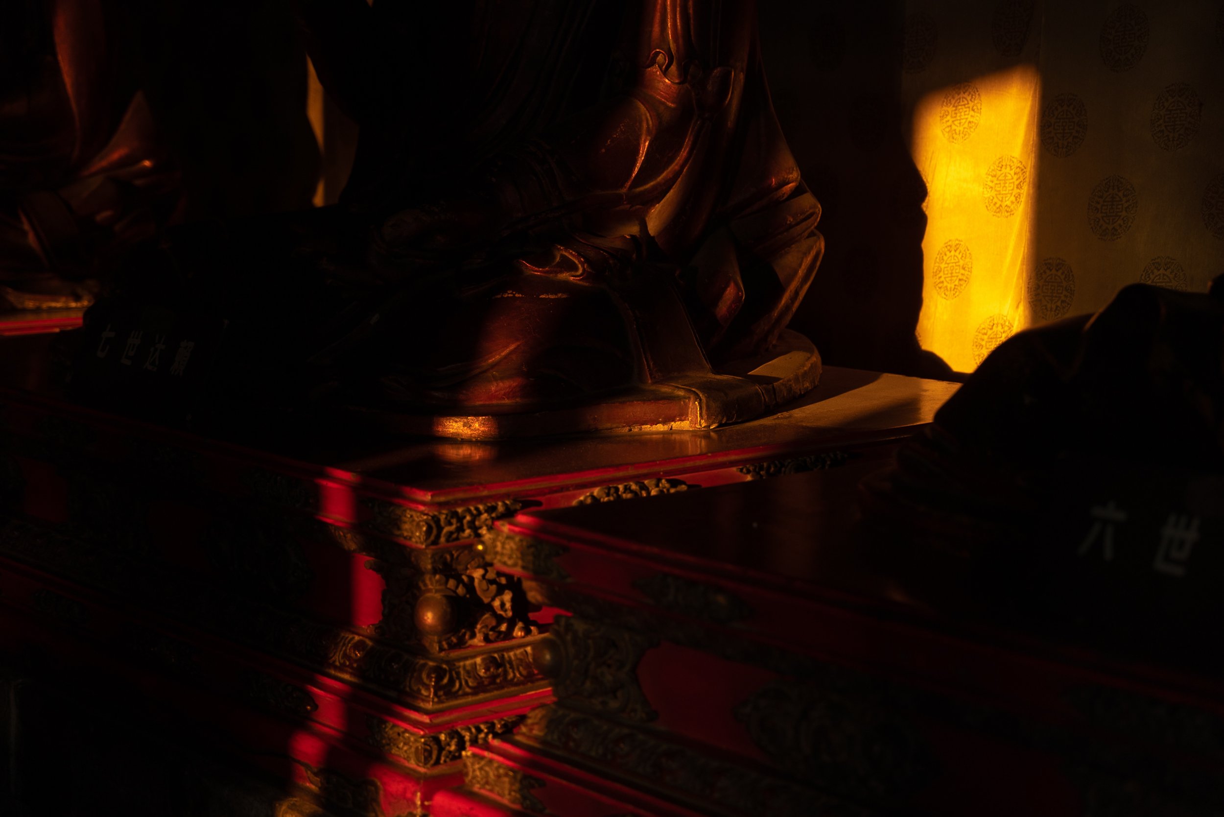 web_export _DSC5379.jpg