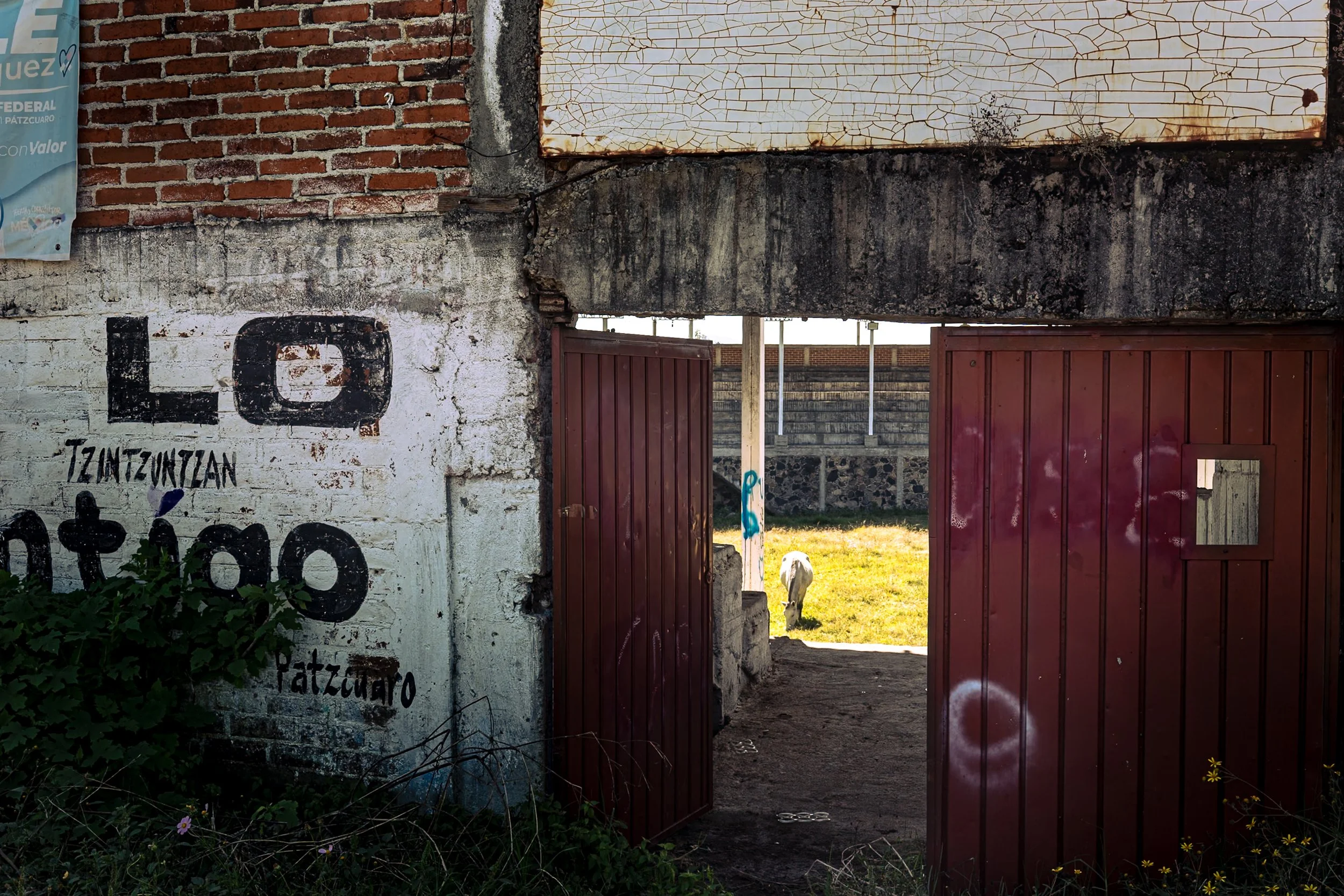 web_export DSC07145.jpg