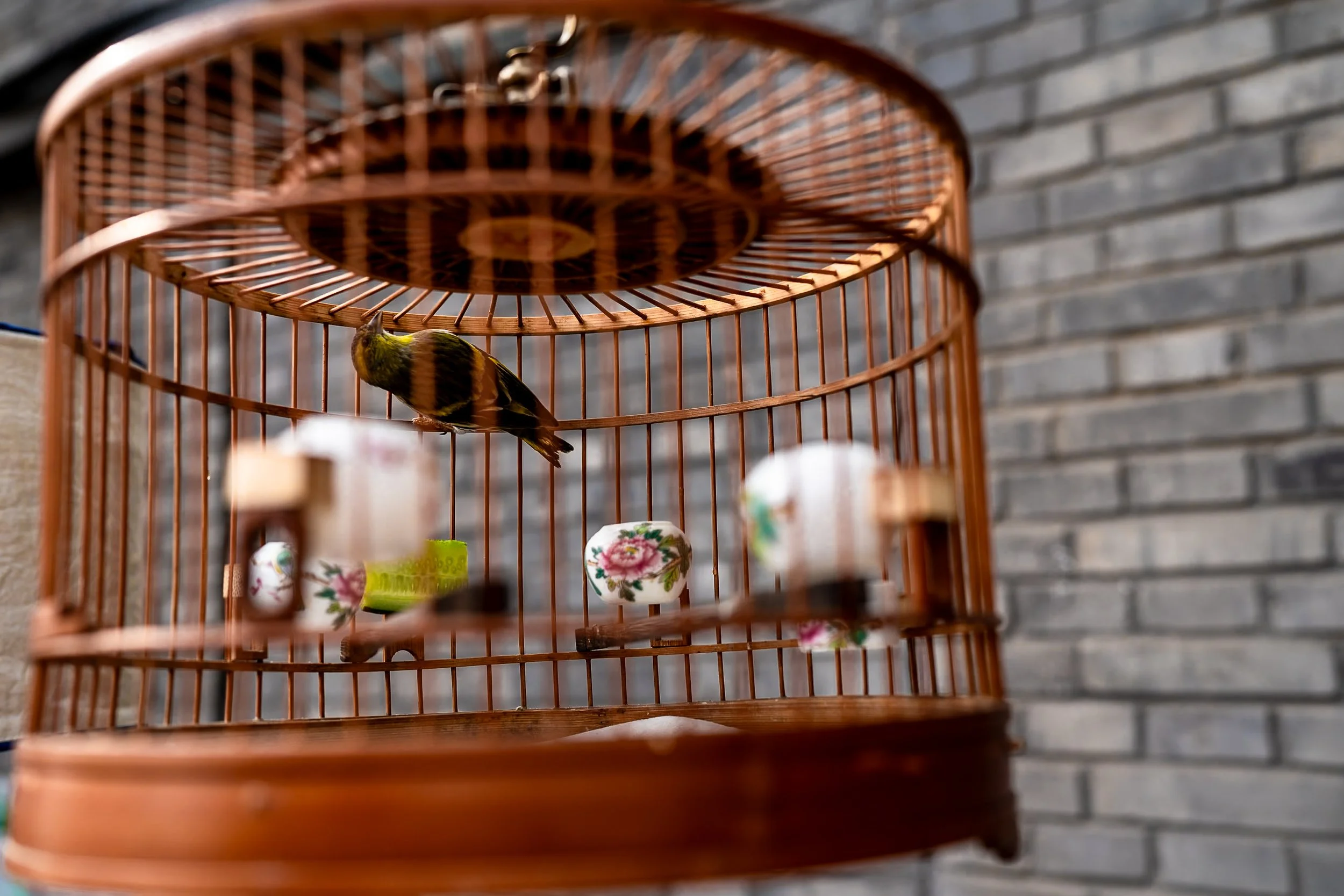 web_export _DSC5218.jpg