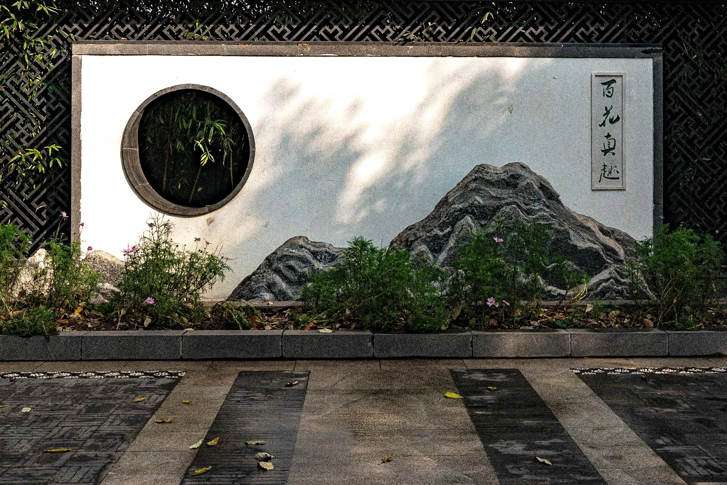 web_export _DSC5068.jpg