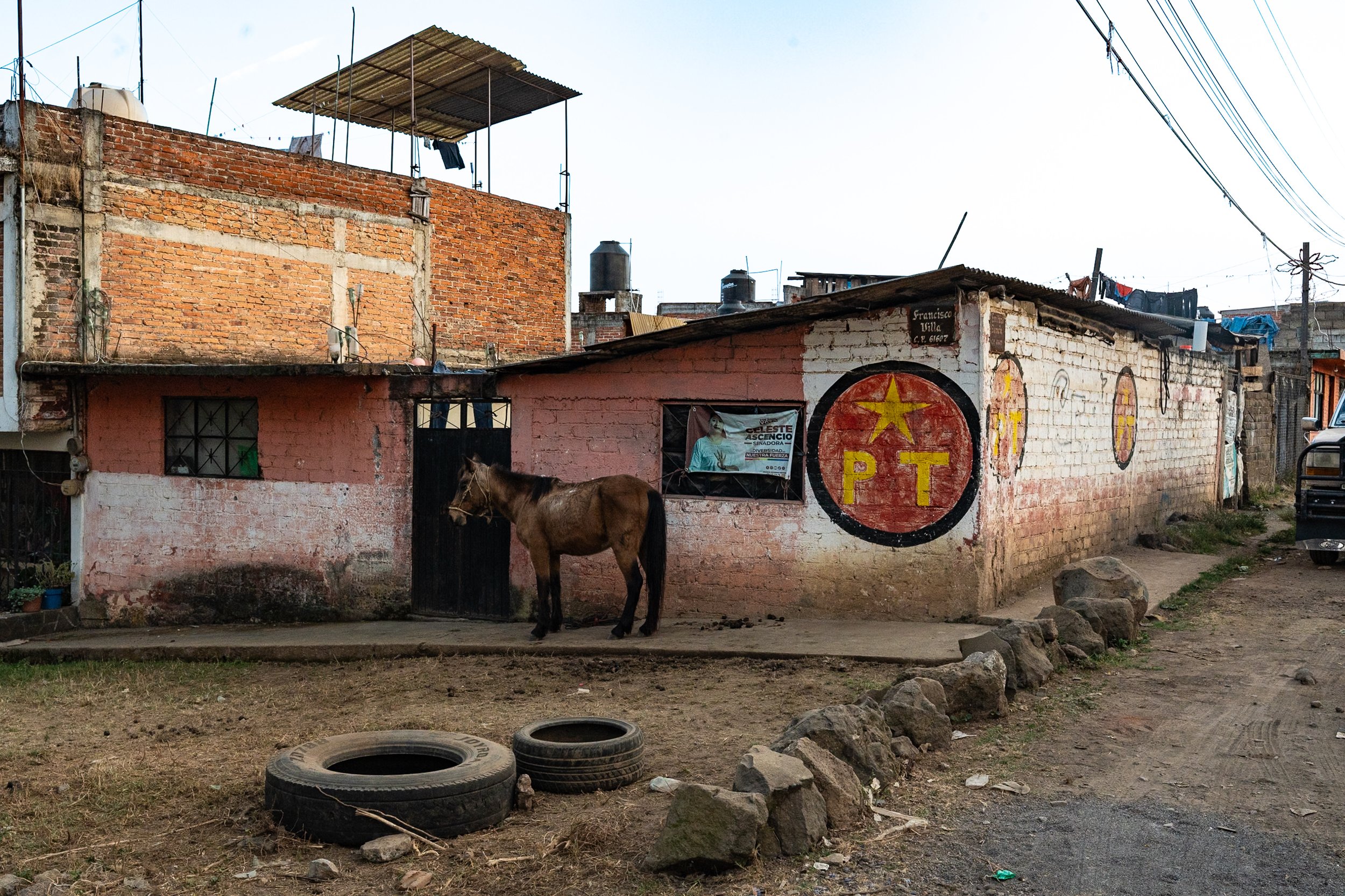 web_export _DSC1174.jpg