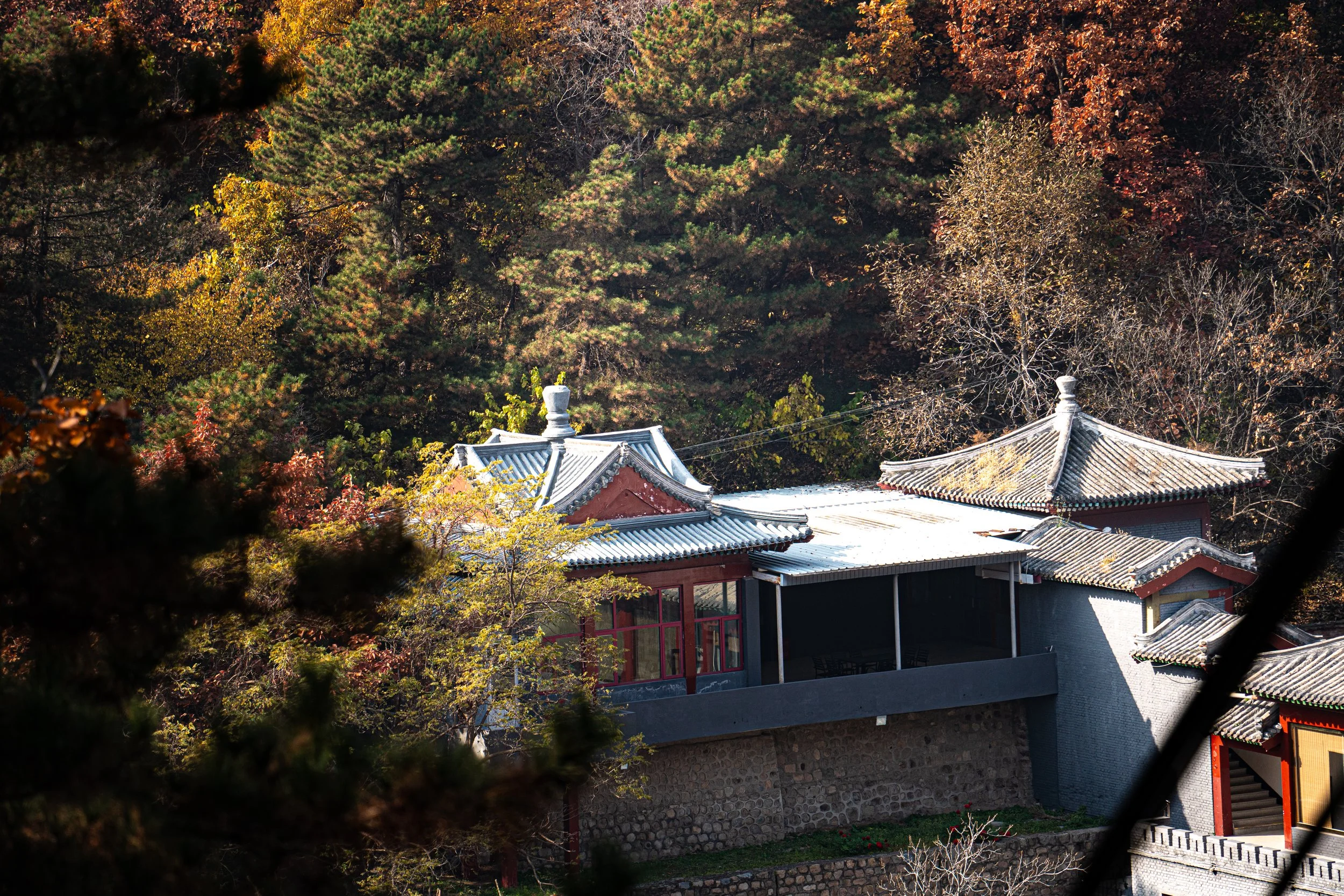 web_export _DSC6054.jpg