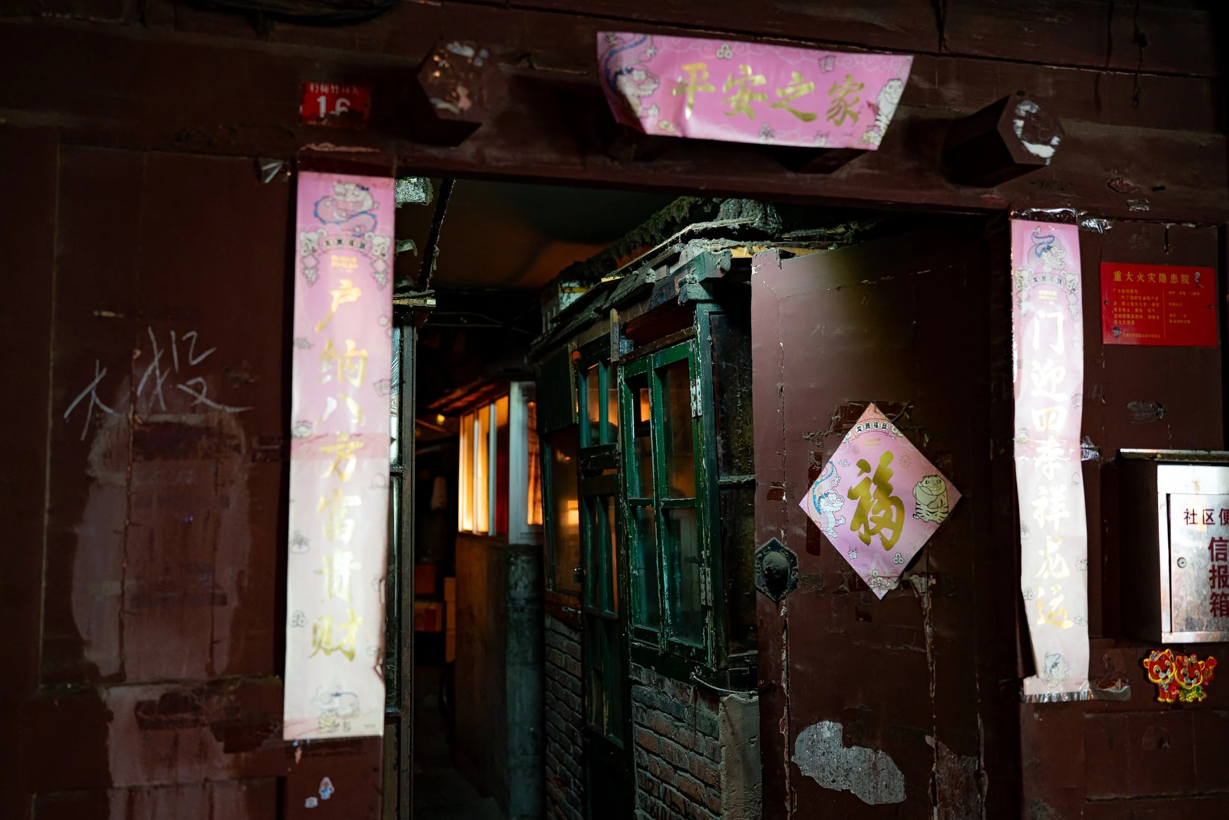 web_export _DSC5910.jpg