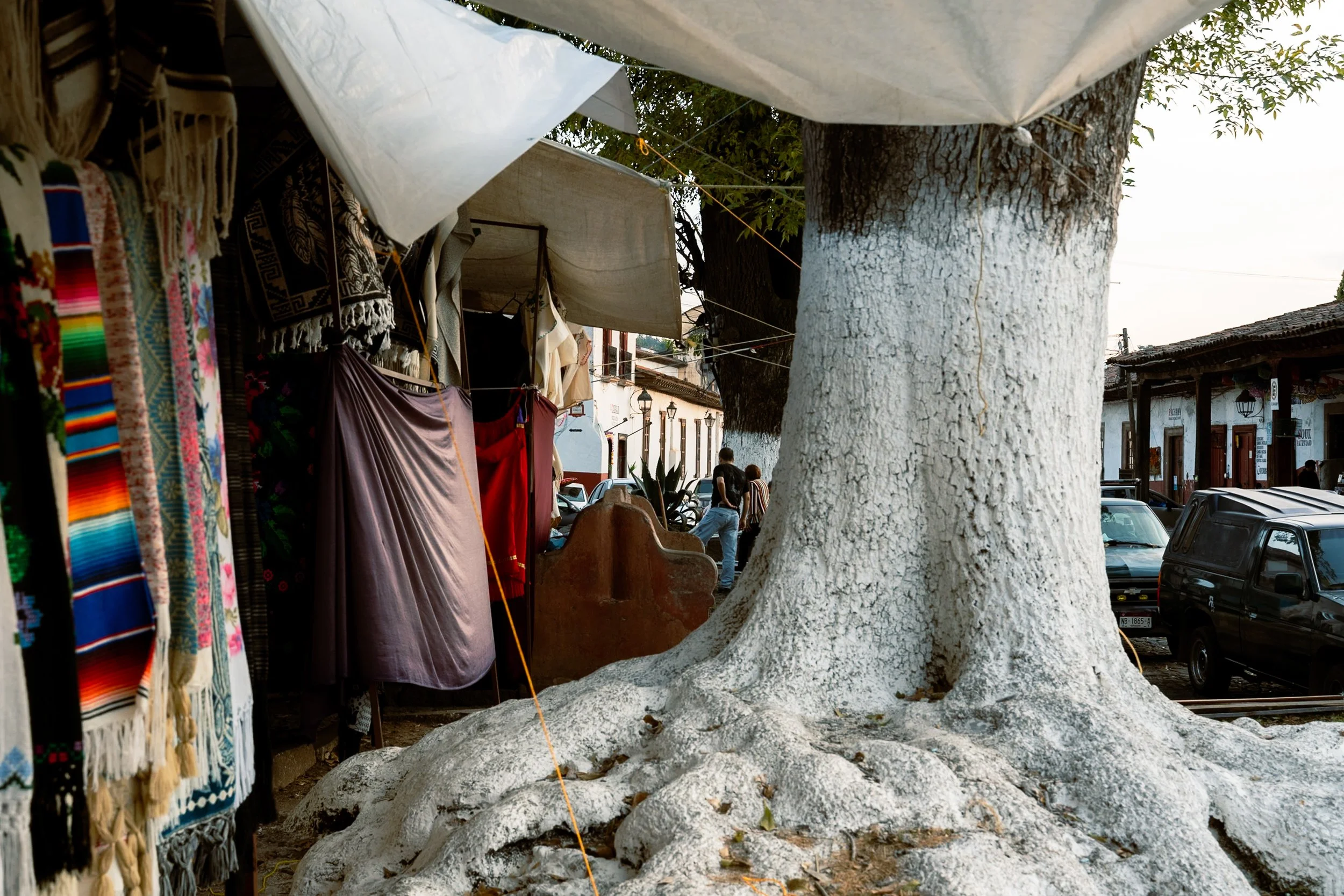 web_export DSC08150.jpg