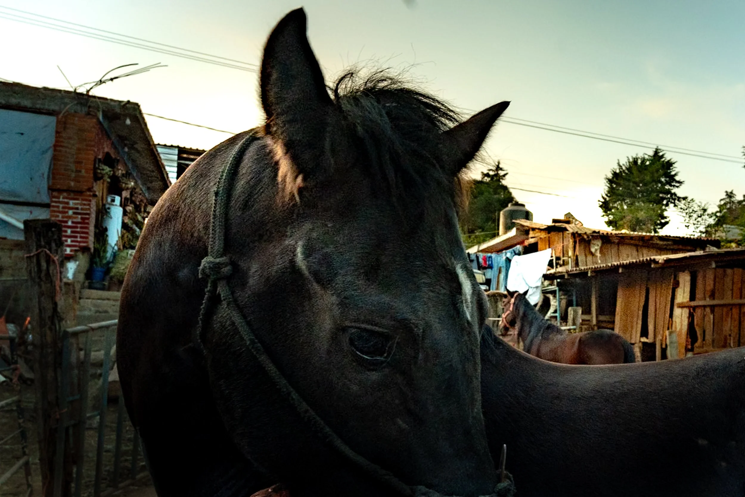 web_export _DSC1352.jpg