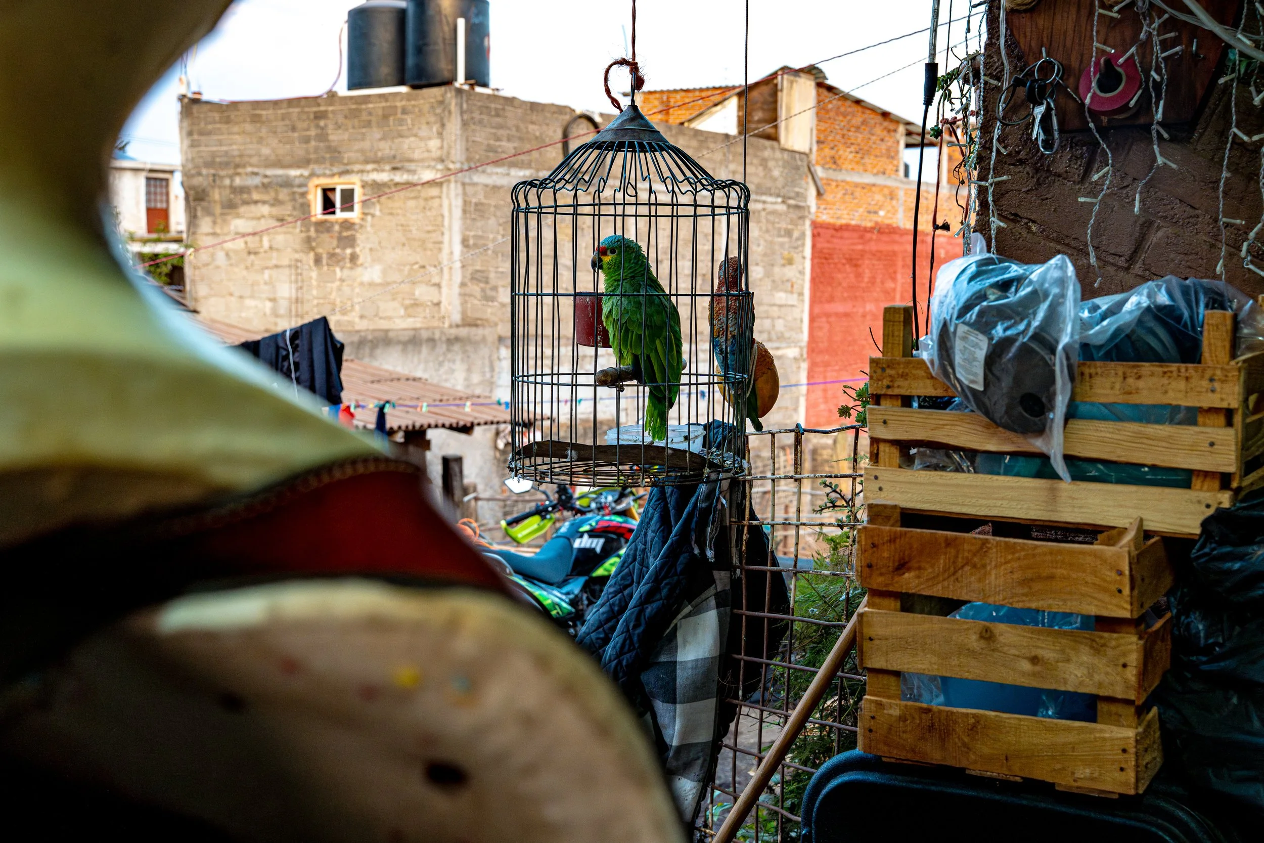 web_export _DSC1249-Enhanced-NR.jpg