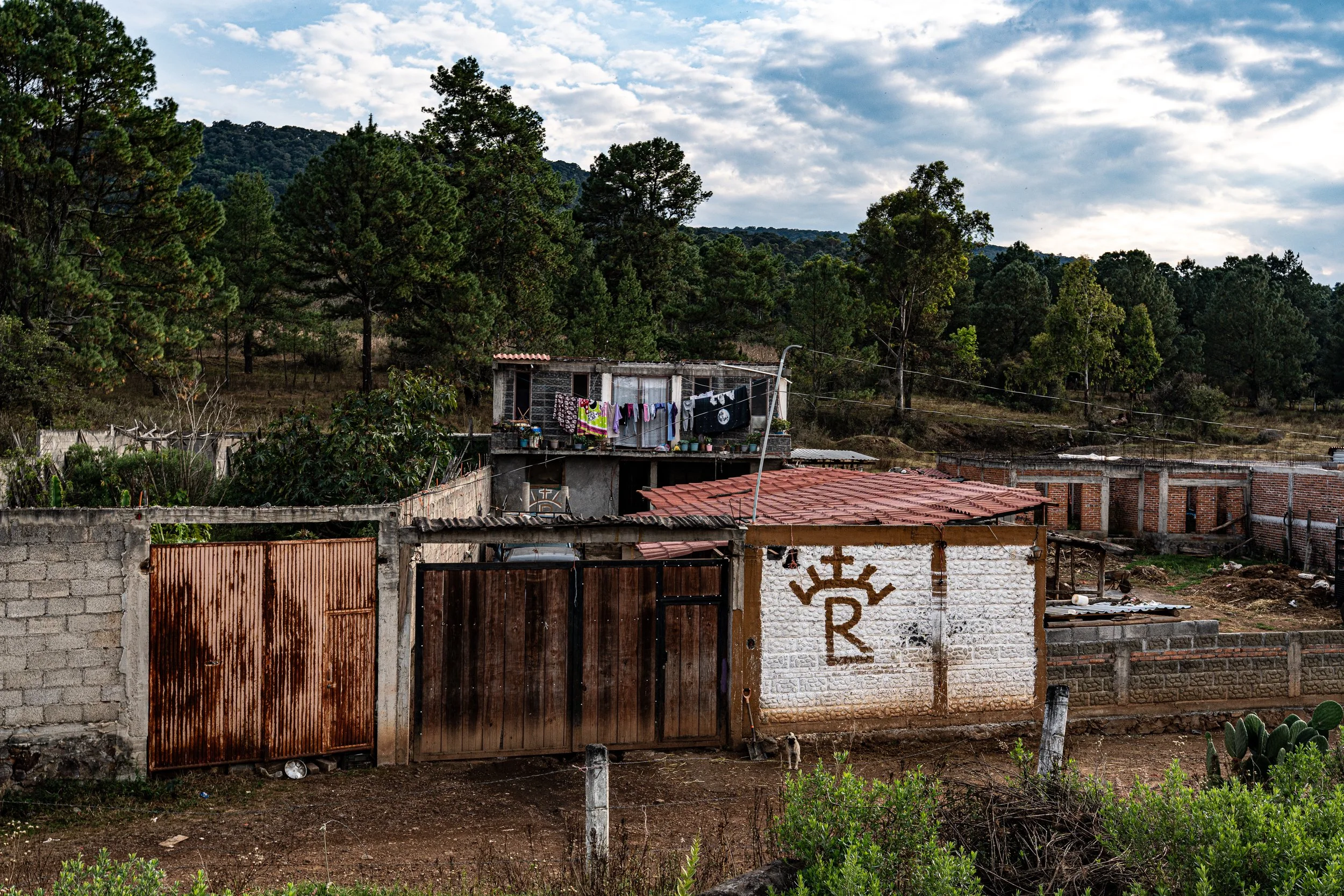 web_export _DSC3350.jpg