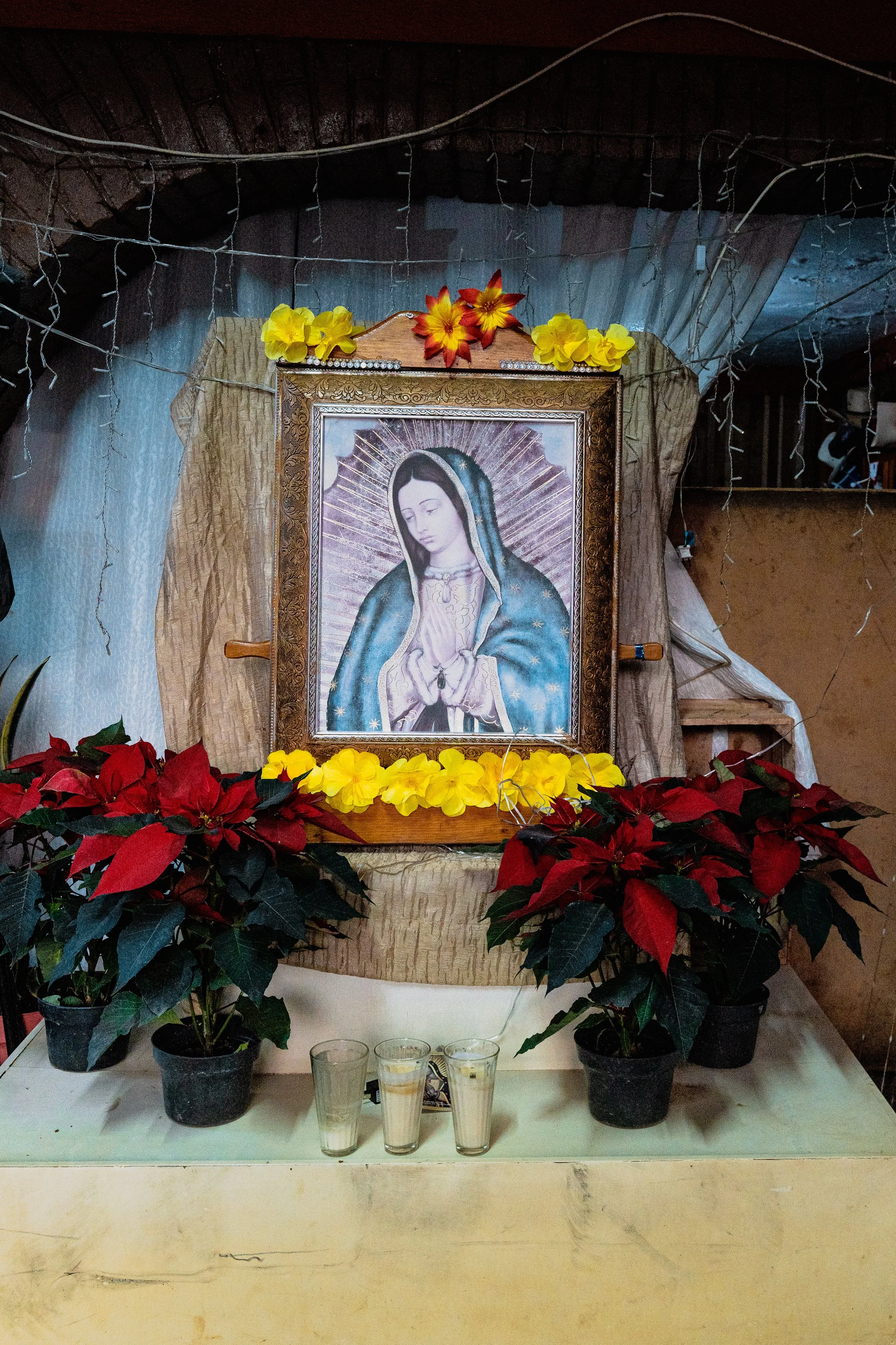 web_export _DSC1250.jpg