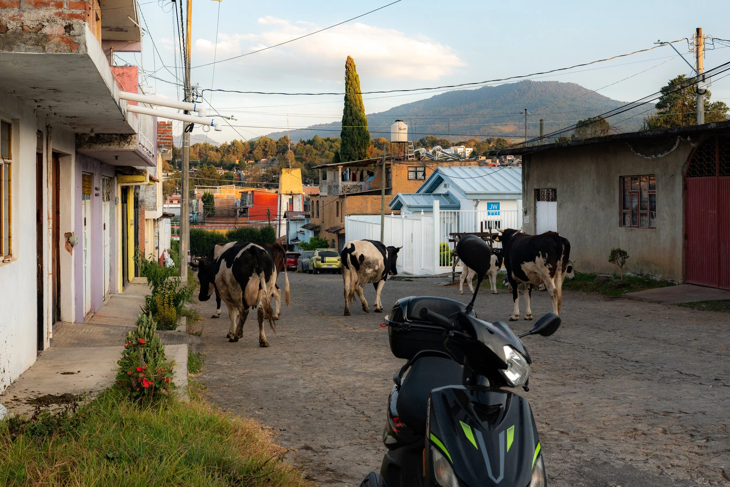 web_export DSC08956.jpg