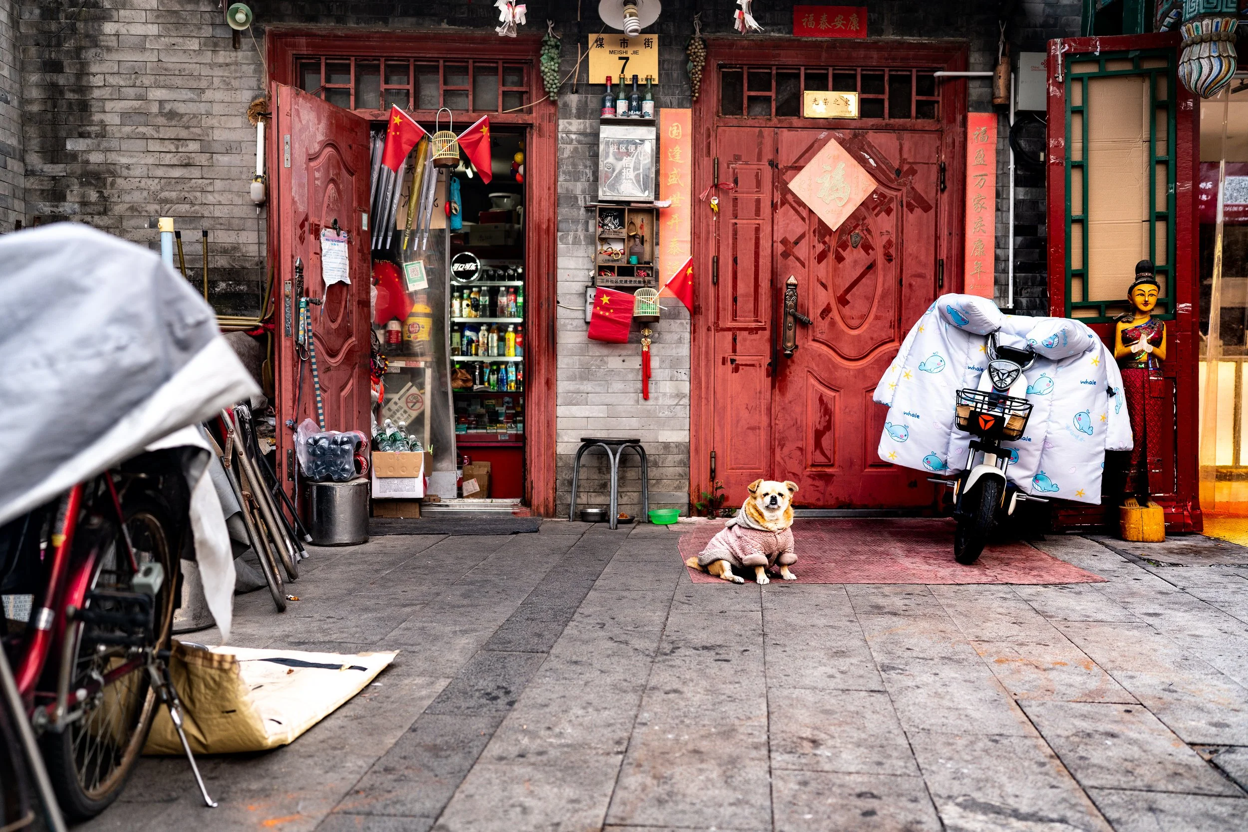 web_export _DSC6108-2.jpg