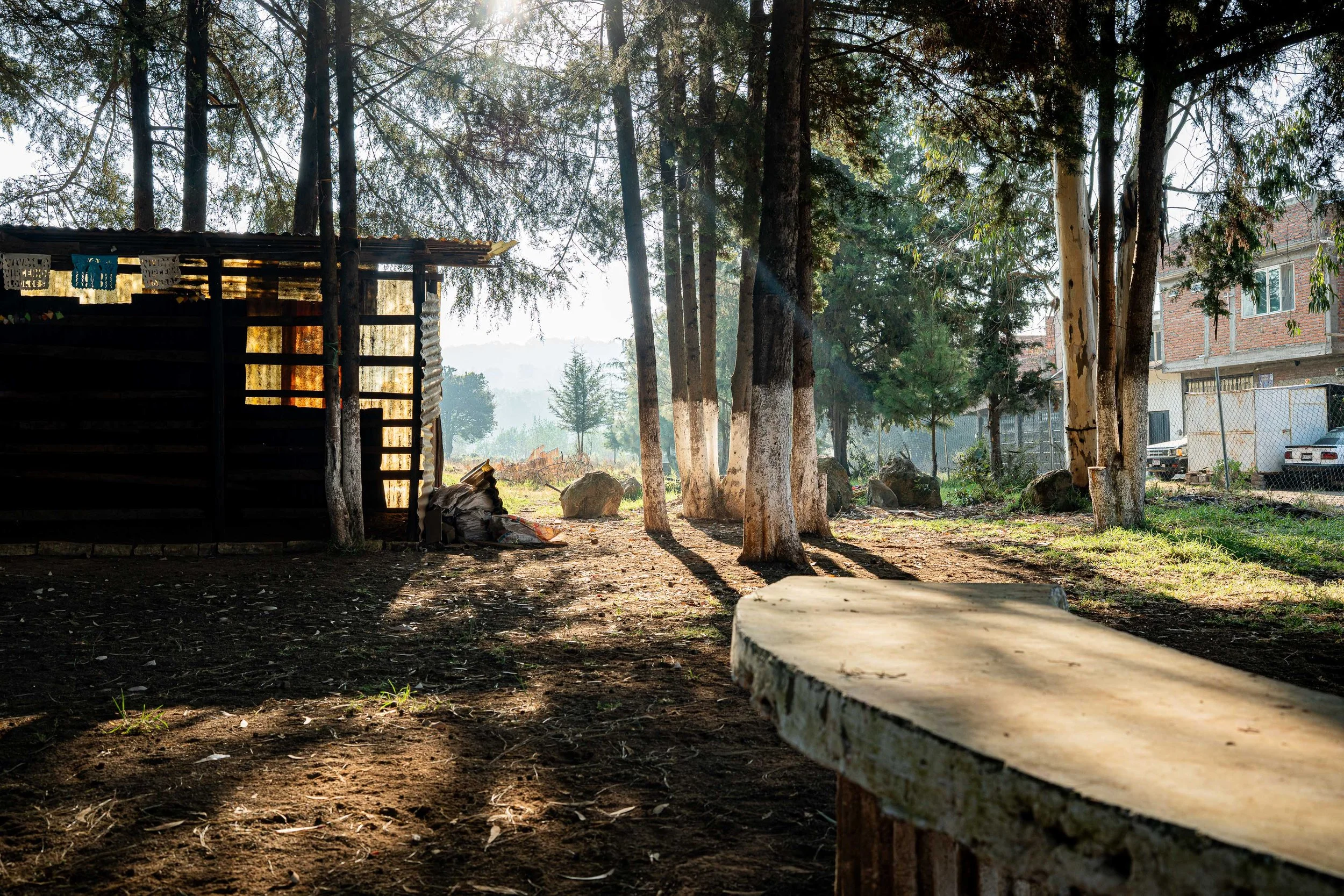 web_Patz DSC00611.jpg