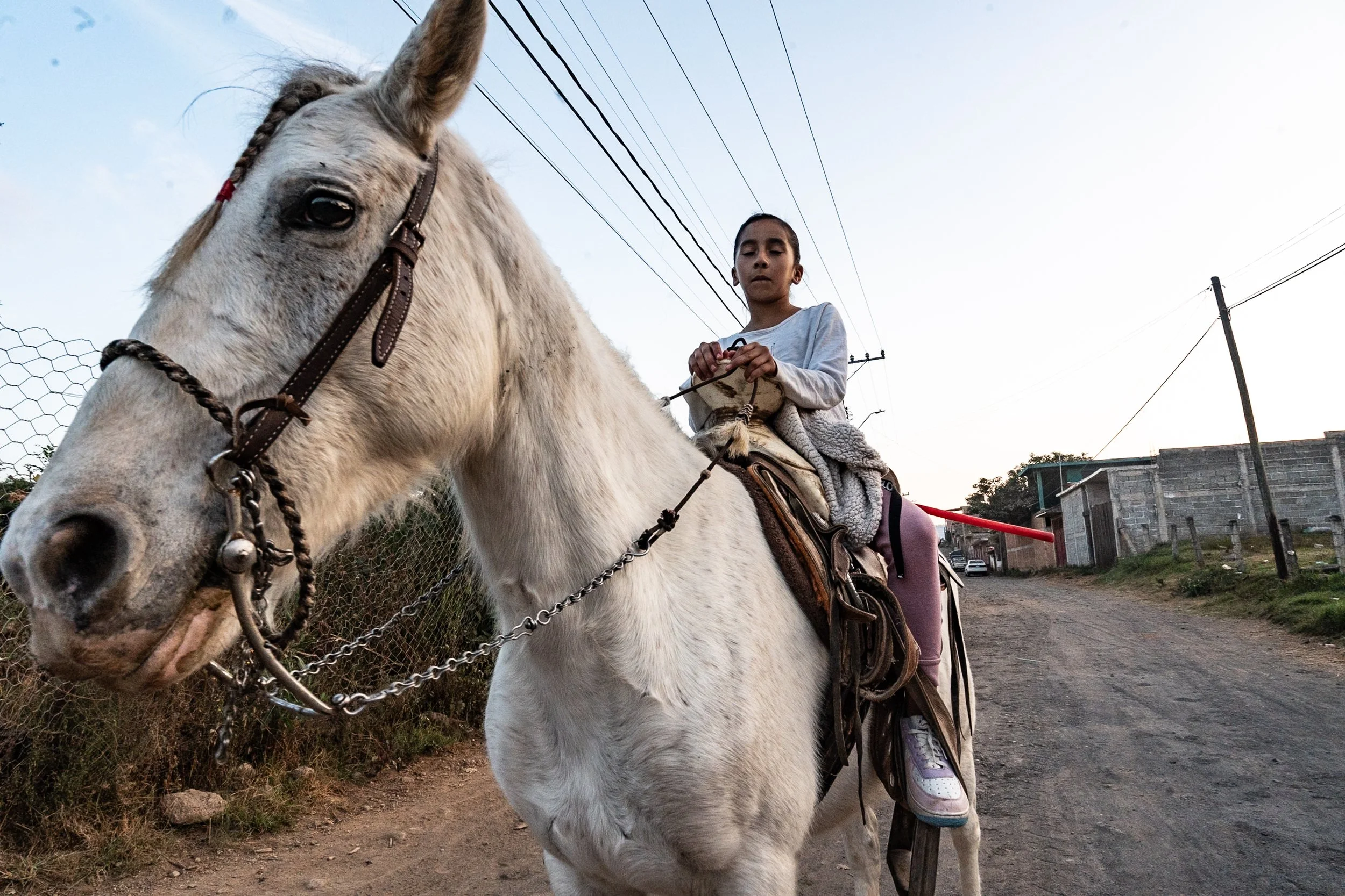 web_export _DSC1248-3.jpg