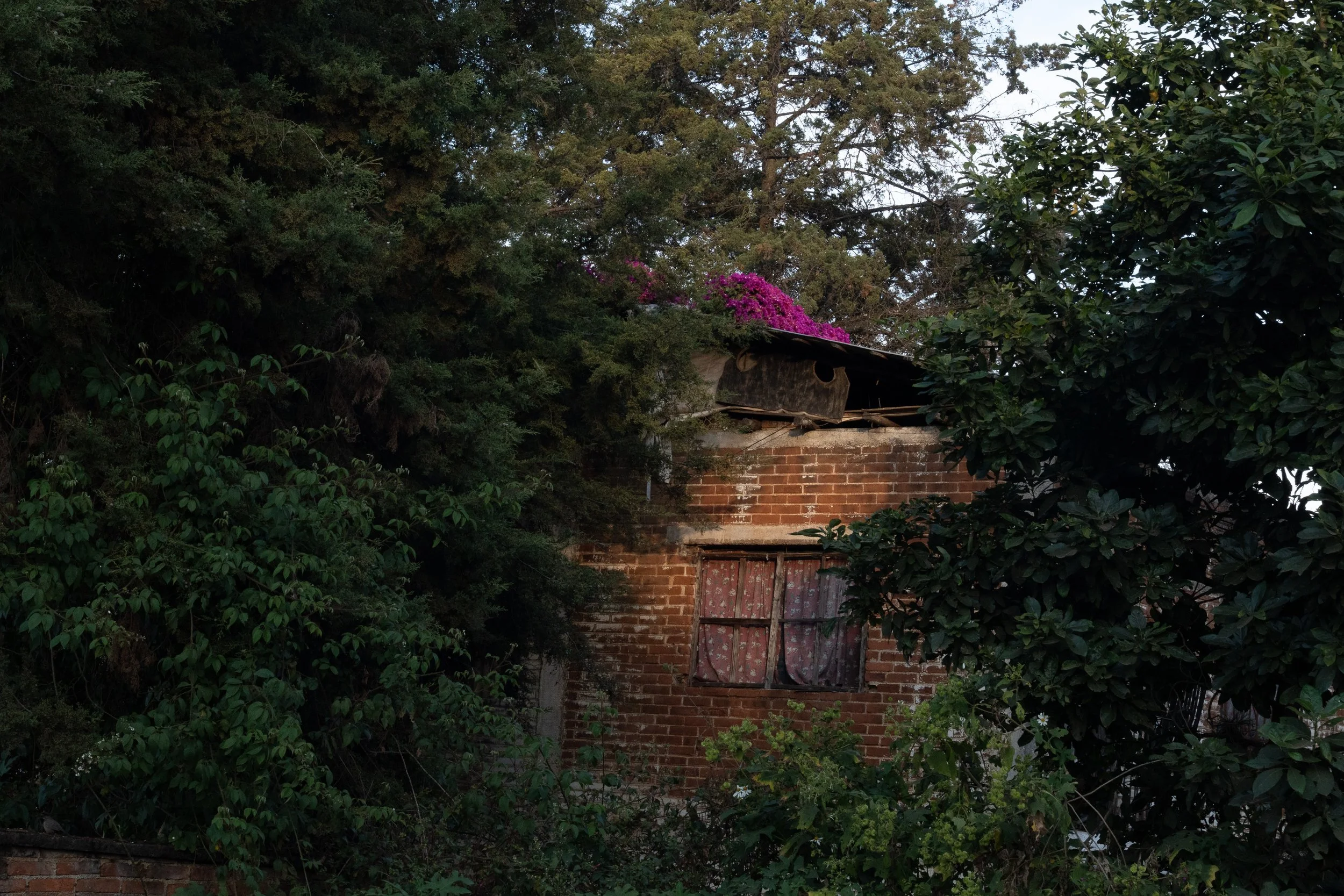 web_export DSC09557.jpg