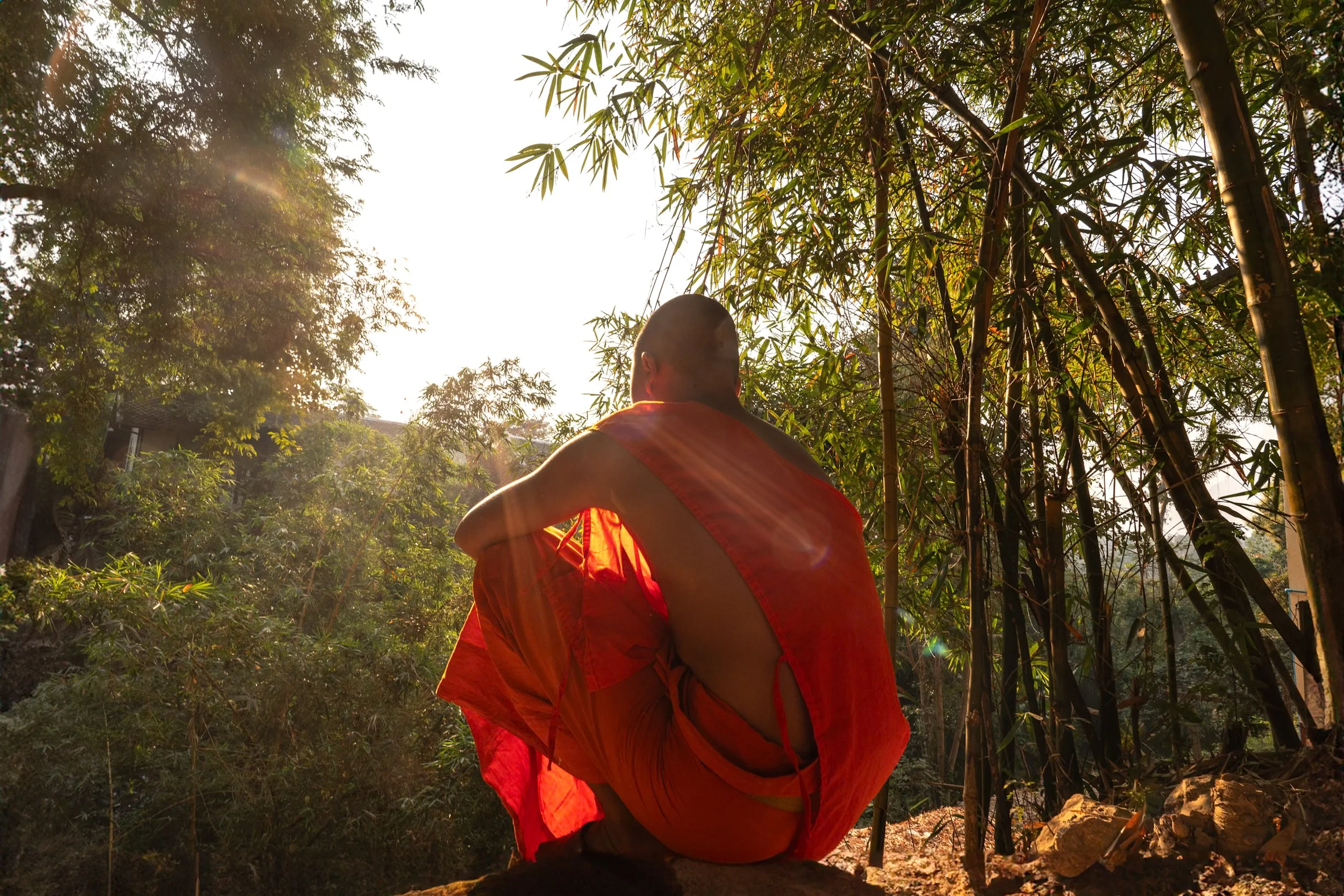 web_export _DSC2928-Modifier.jpg