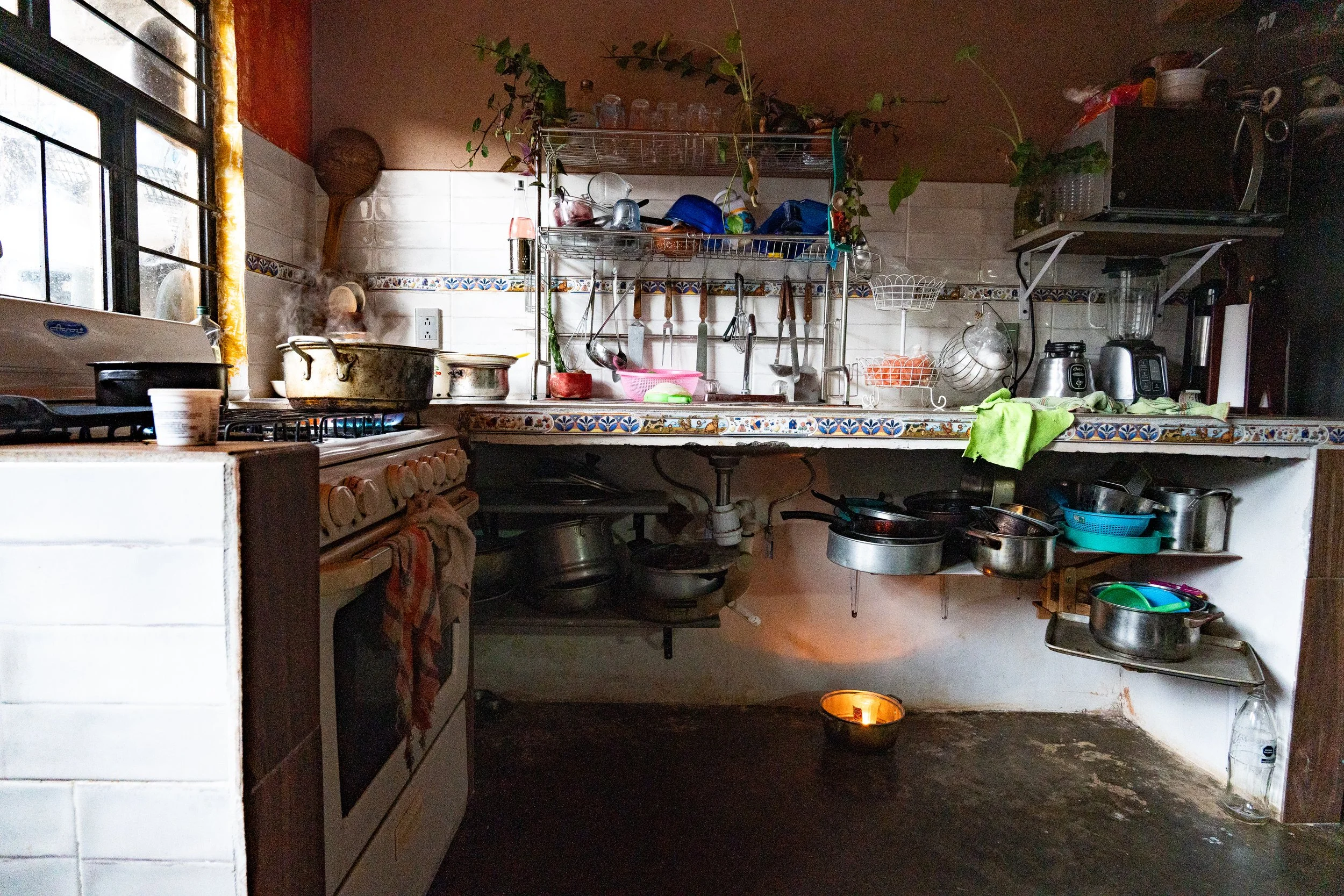 web_export _DSC1035.jpg