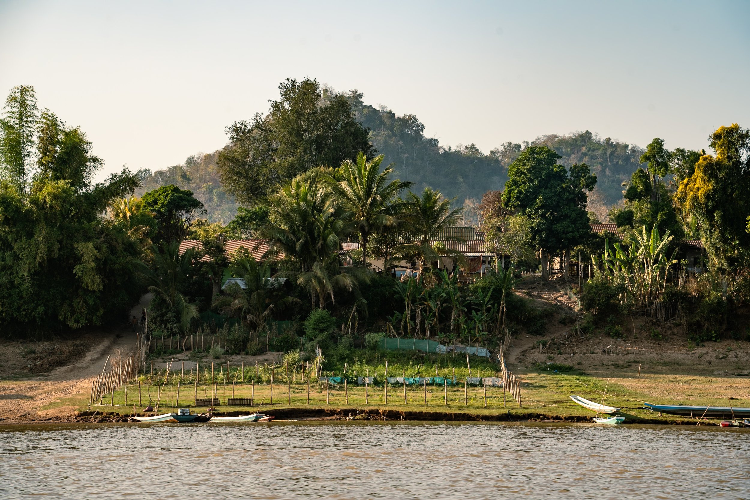 web_export _DSC2307.jpg