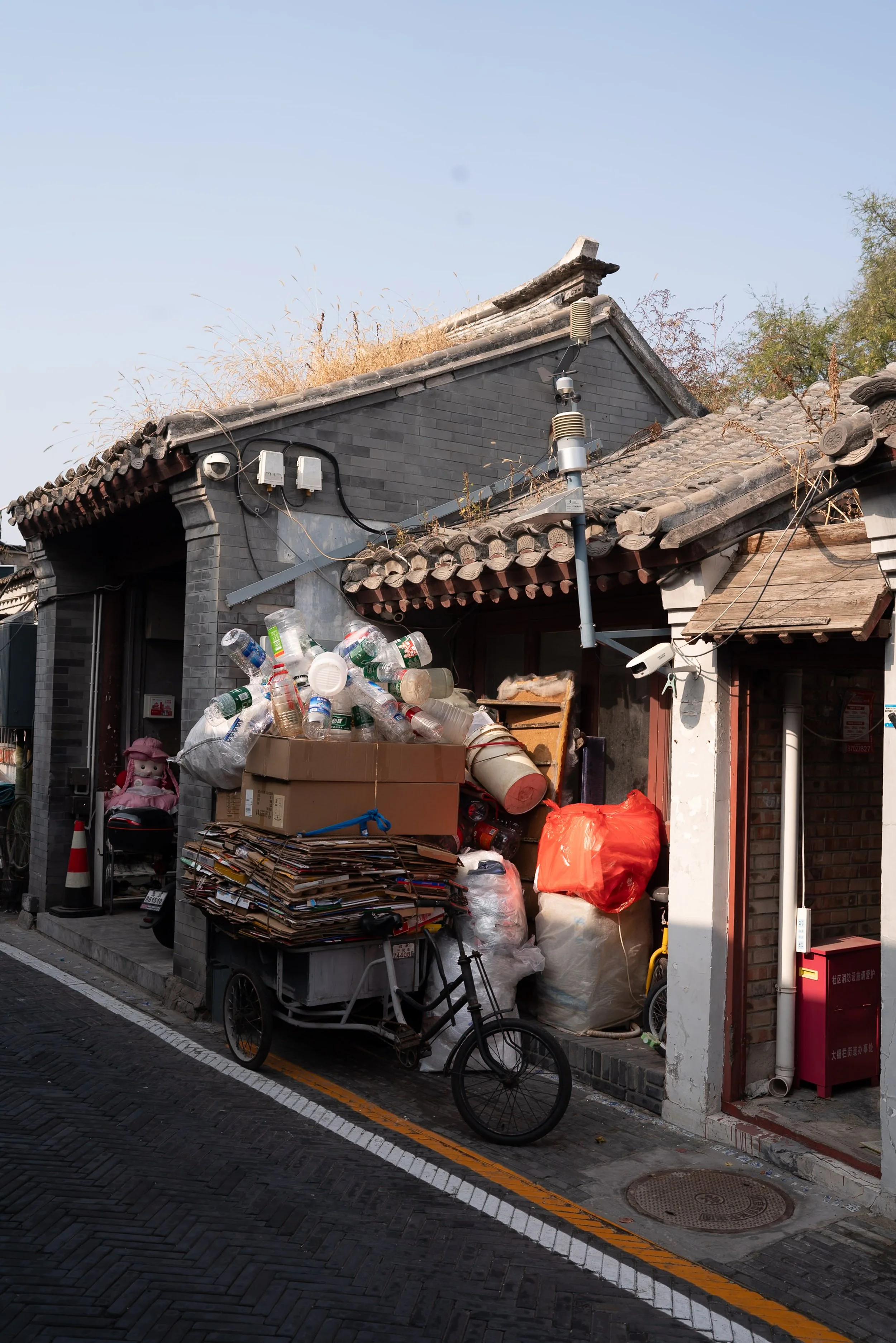 web_export _DSC5025.jpg