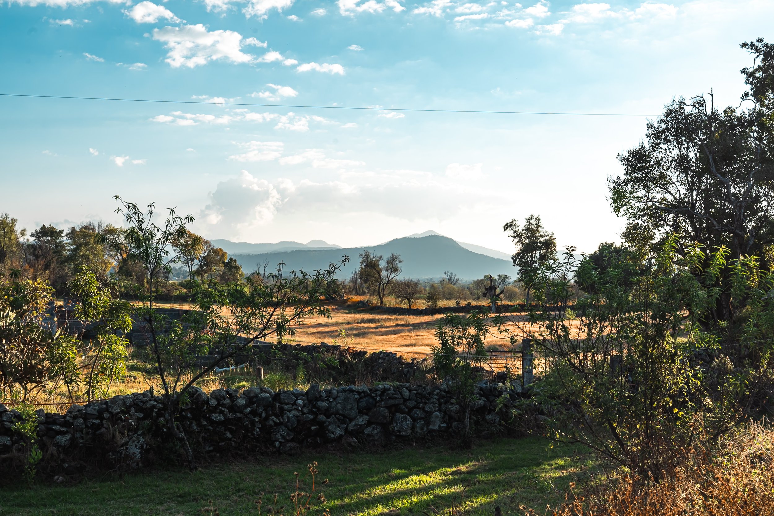 web_export DSC06893.jpg