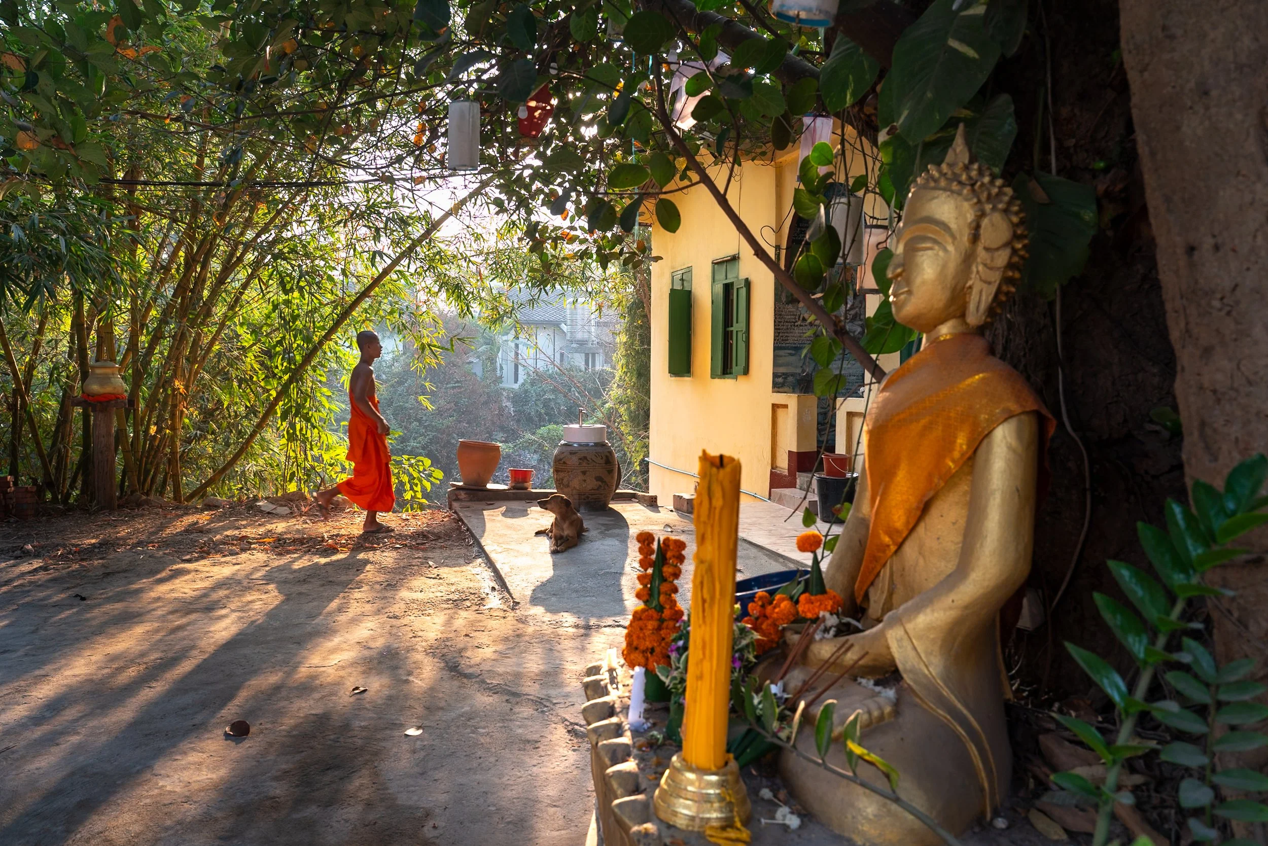 web_export _DSC2906-2.jpg