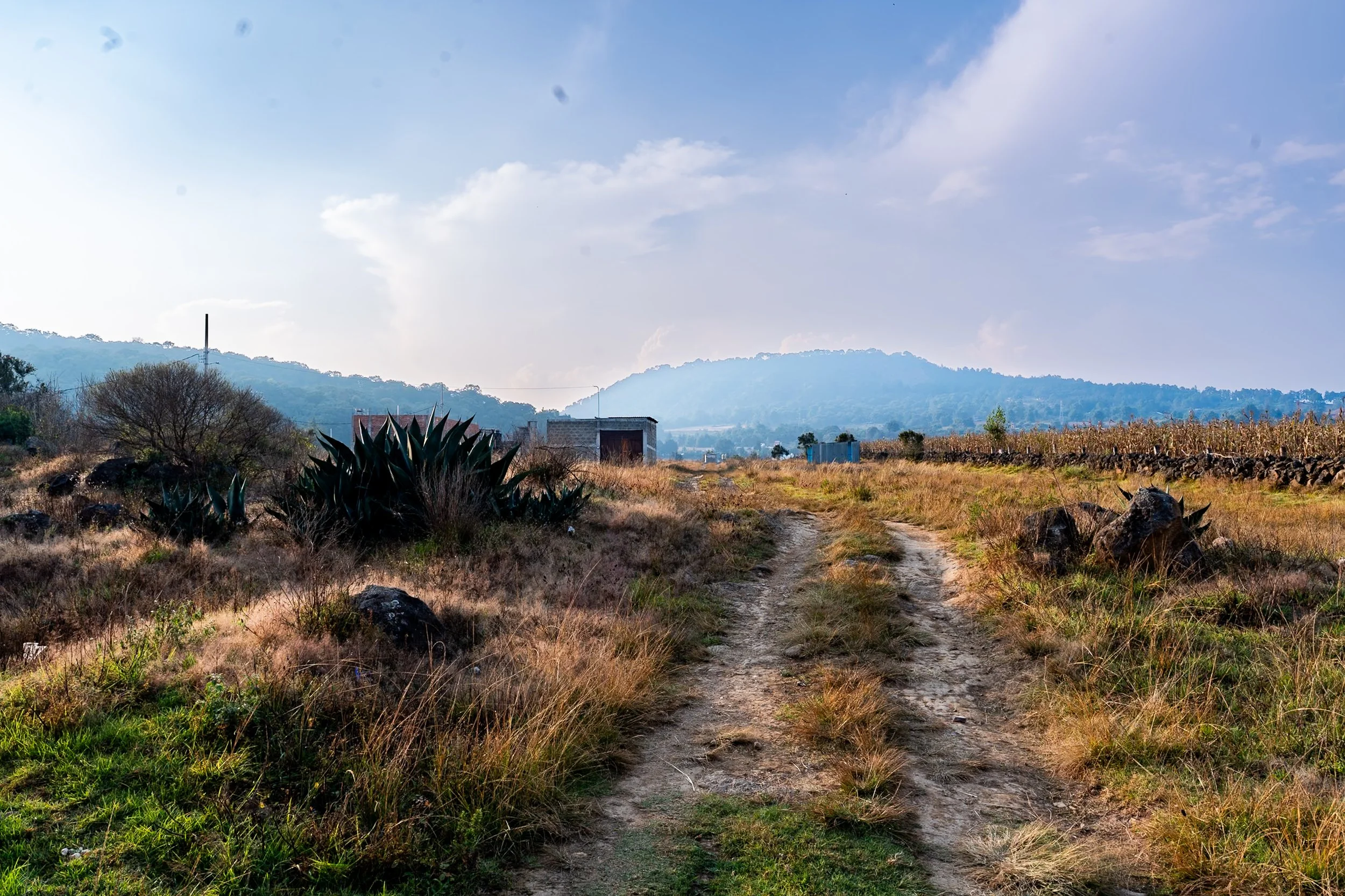 web_export _DSC0892-2.jpg