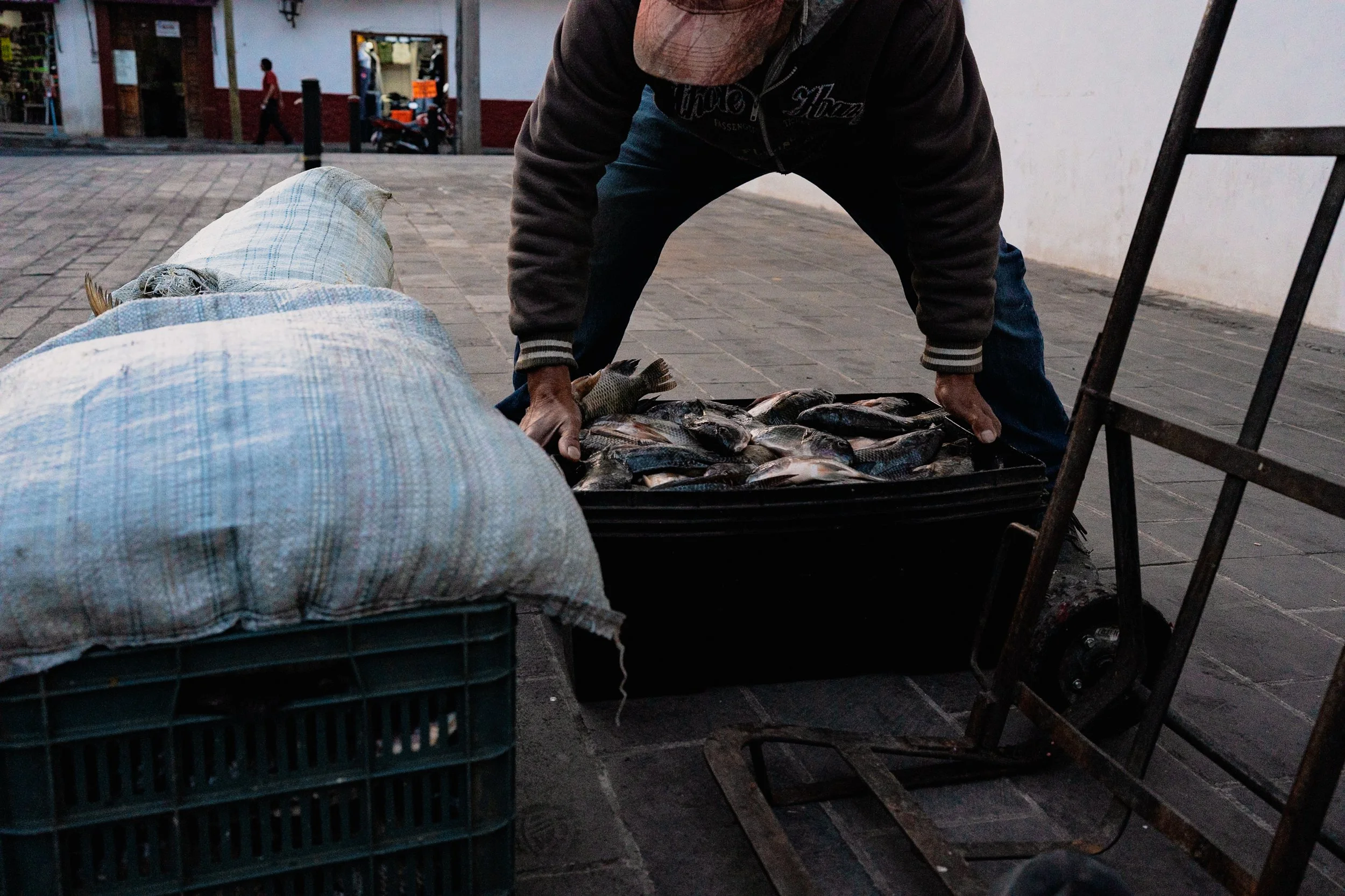 web_export _DSC1917-2.jpg