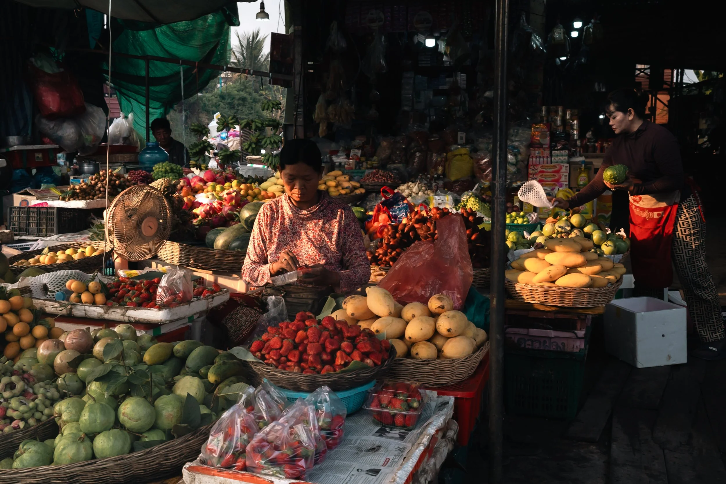 web -26_DSC4965-2.jpg