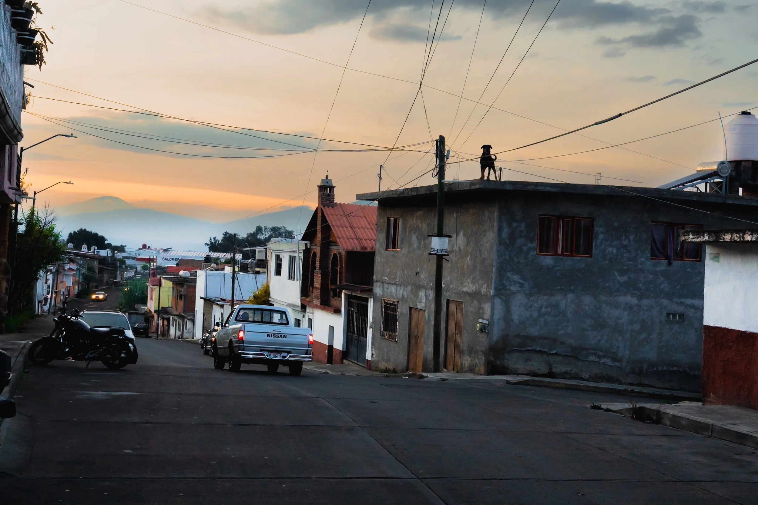 web_export _DSC2546-2.jpg