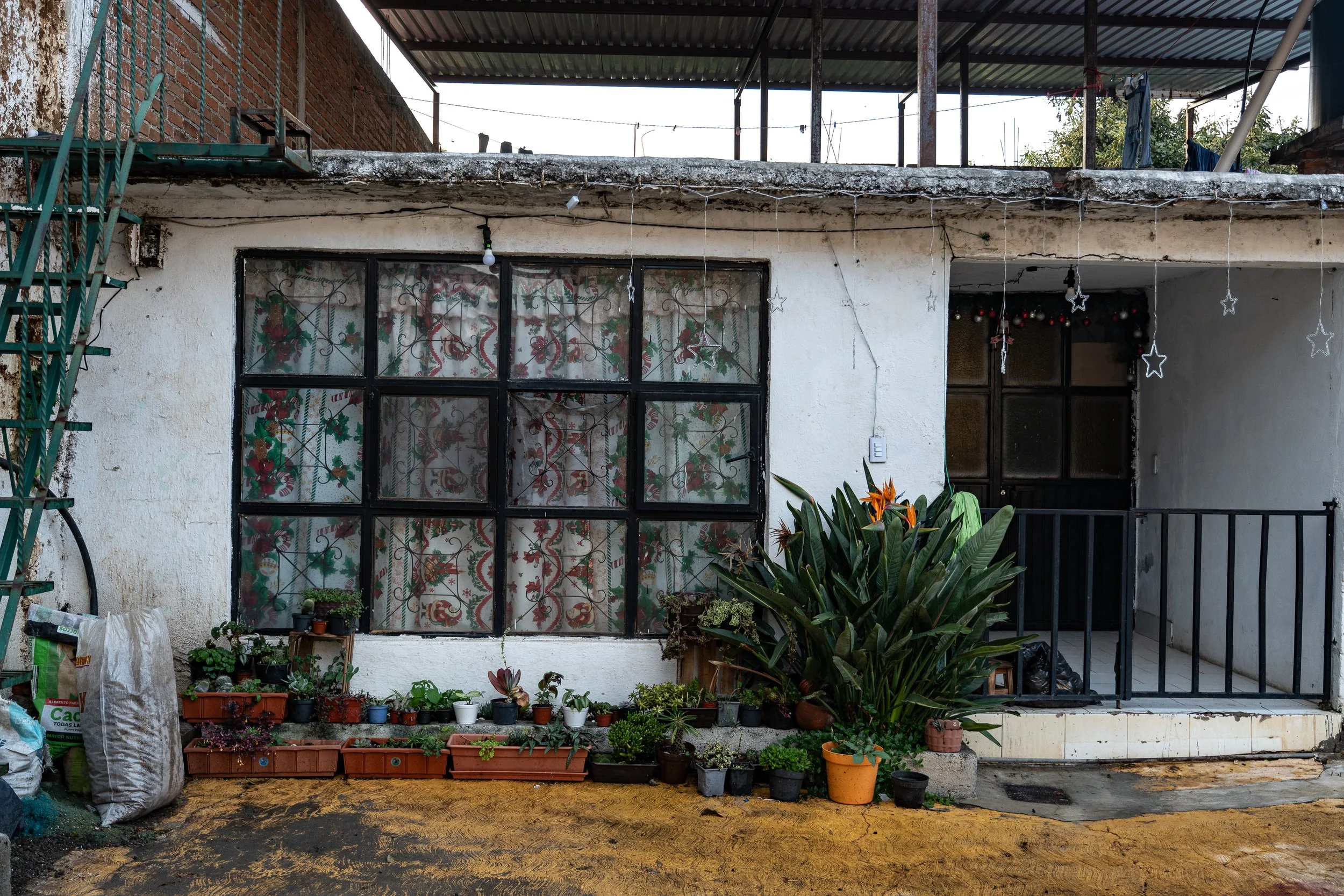 web_export _DSC2403.jpg