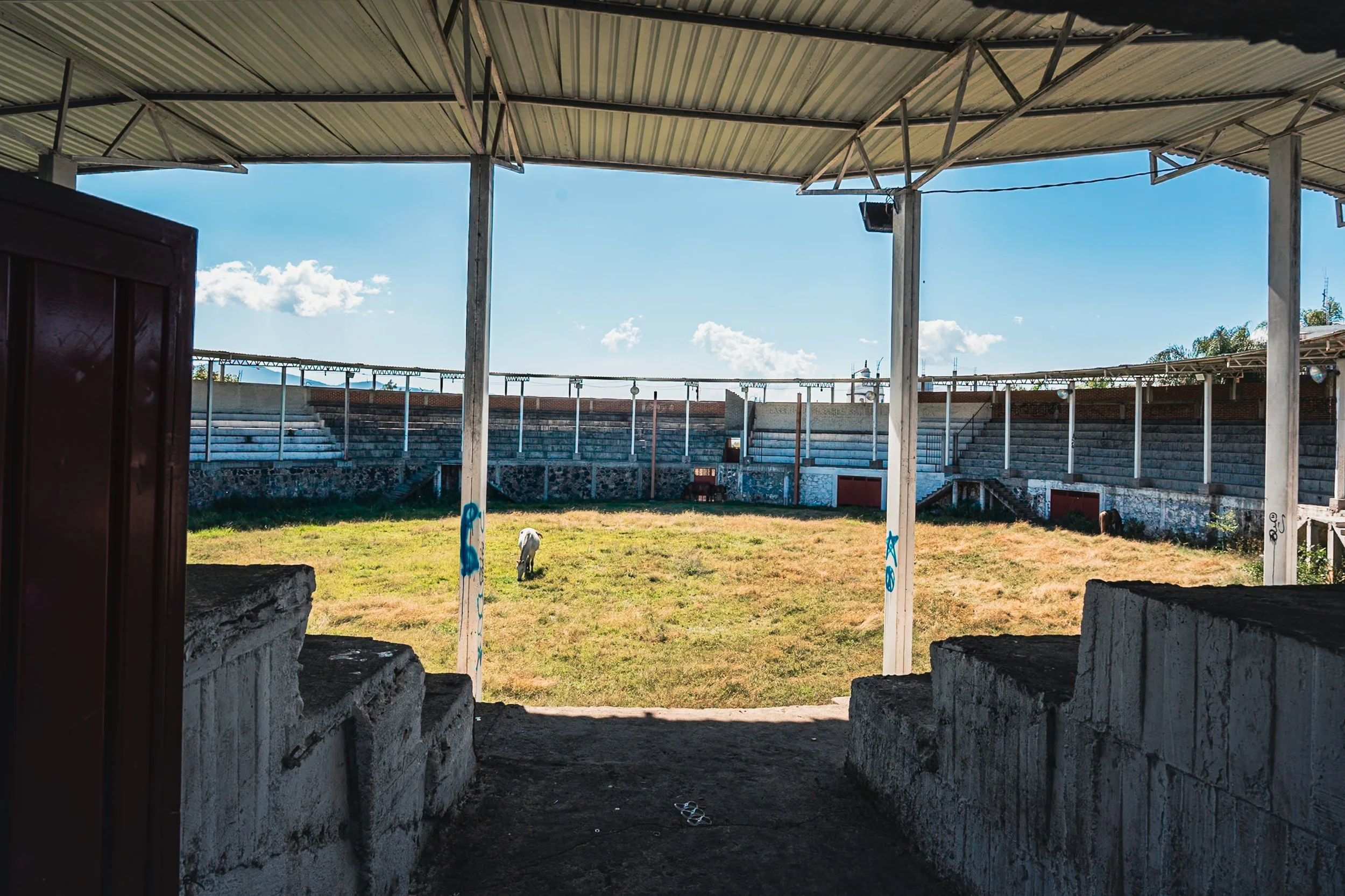 web_export DSC07127.jpg