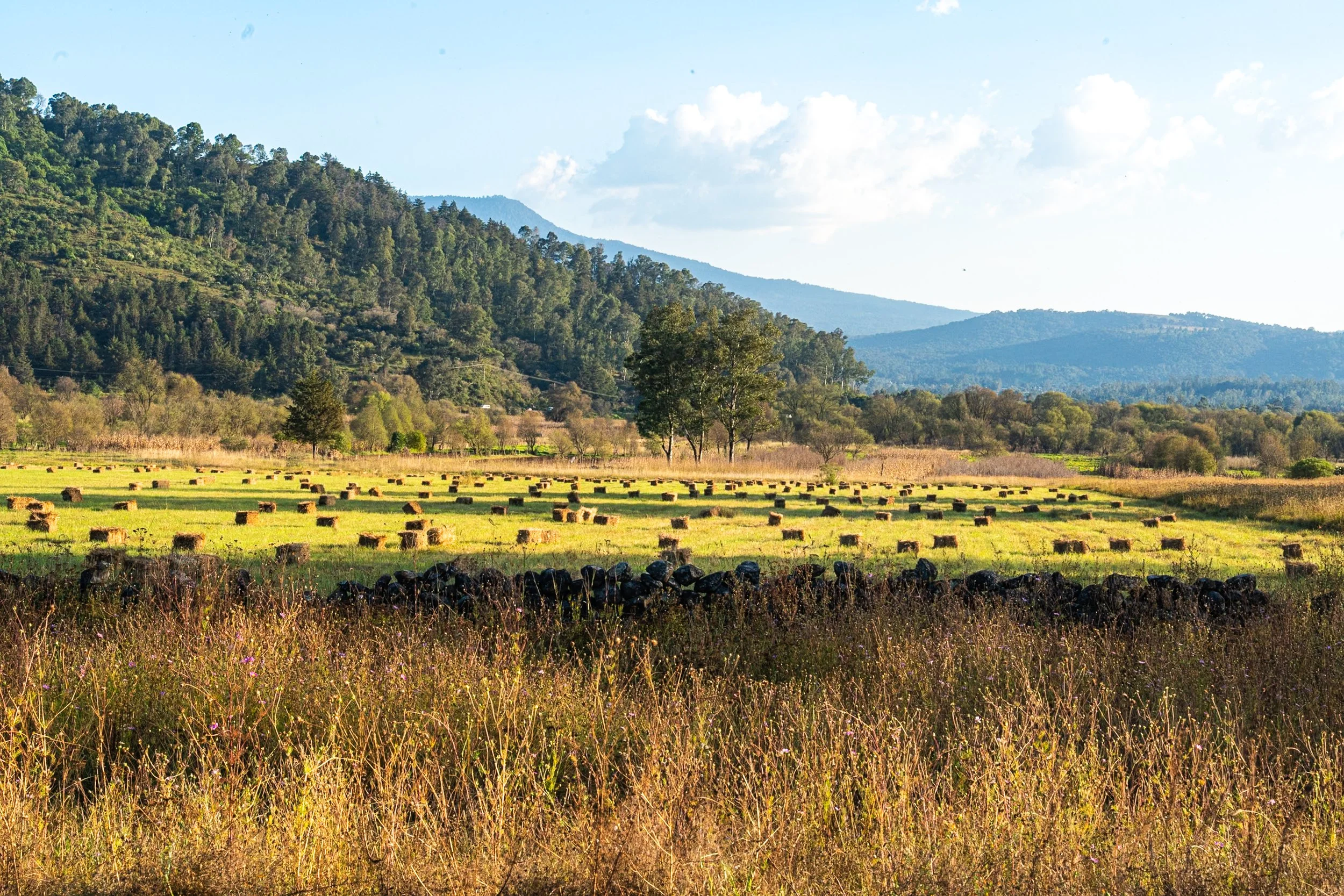 web_export DSC06880.jpg