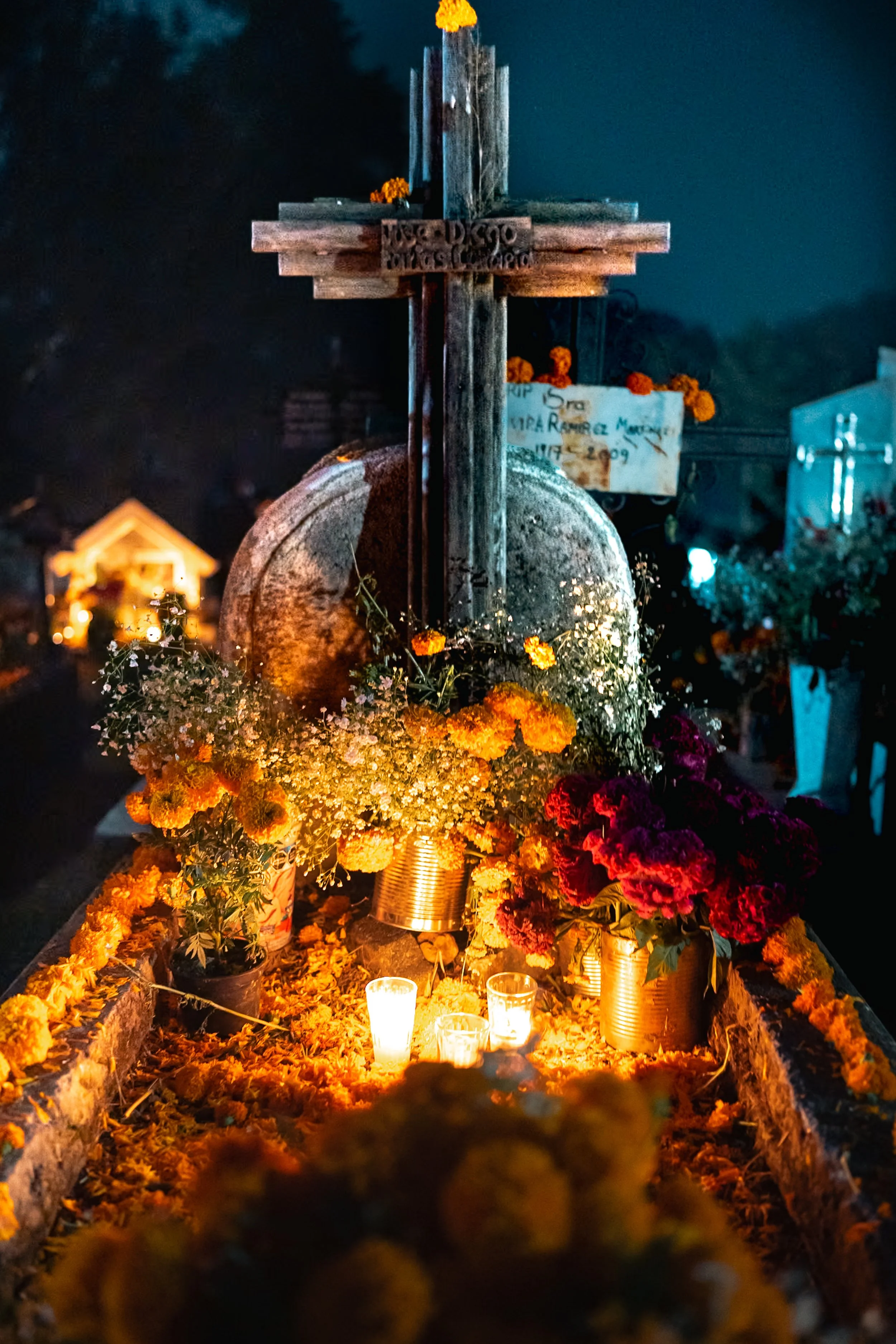 web_export DSC06452.jpg